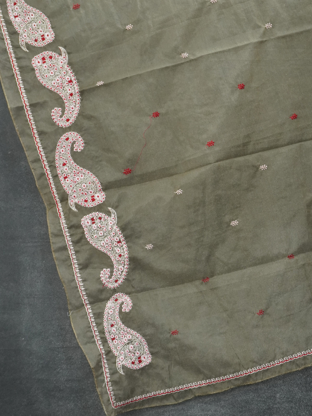 Organza with embroidery work Saree | TTDS3609