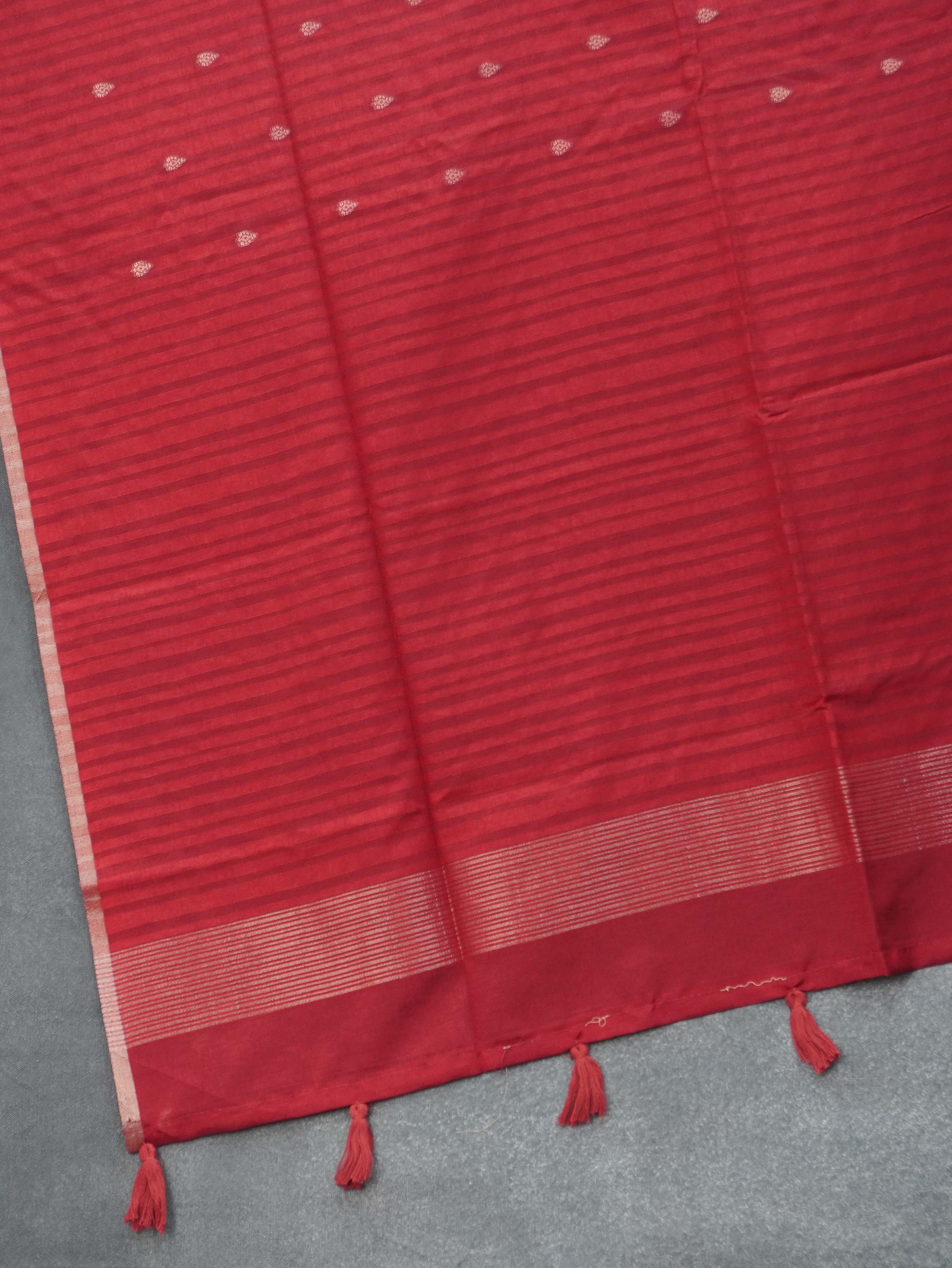Tussar Silk Saree | TTDS3197