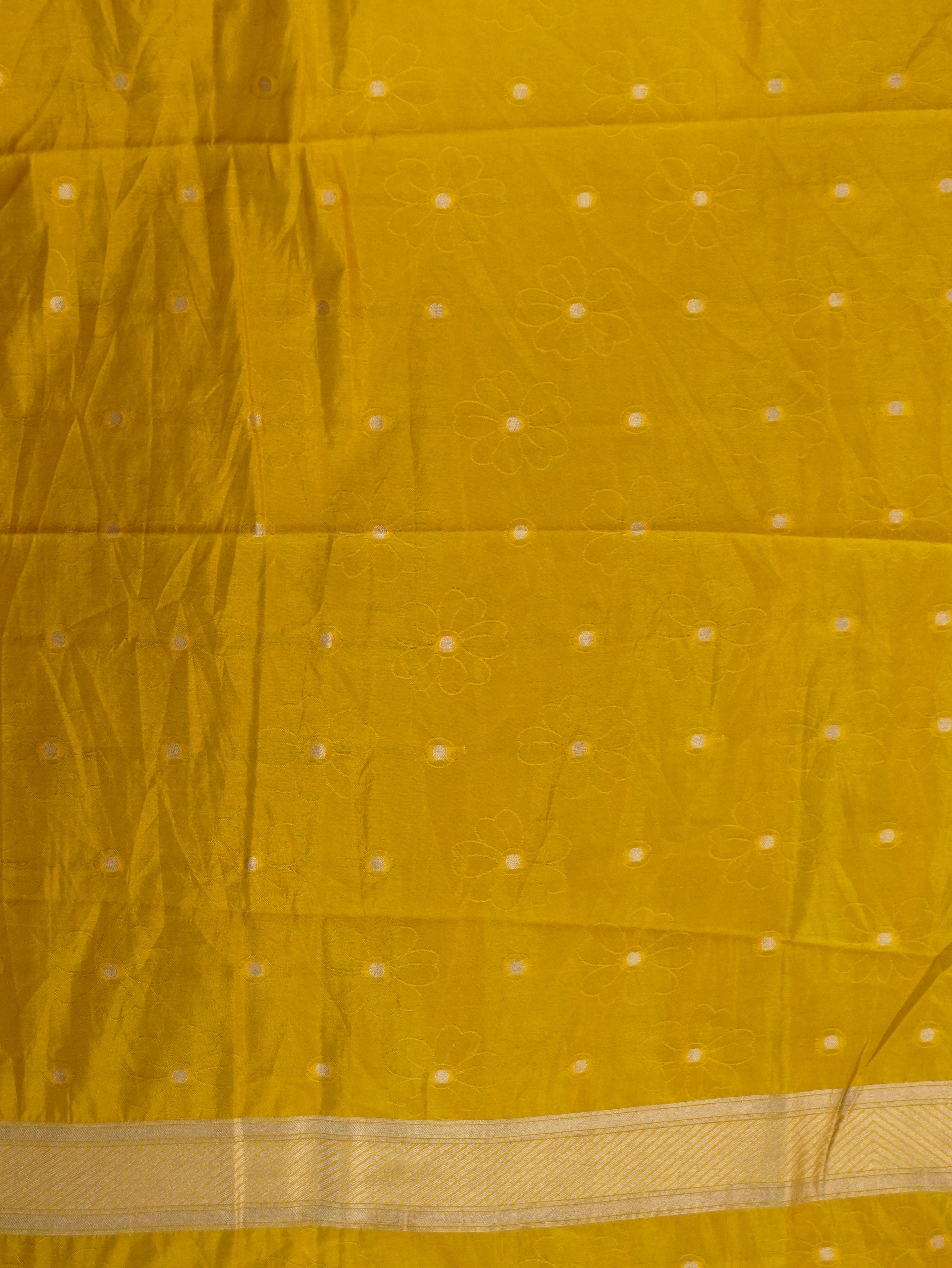 Tissue Silk Saree | TTDS3201