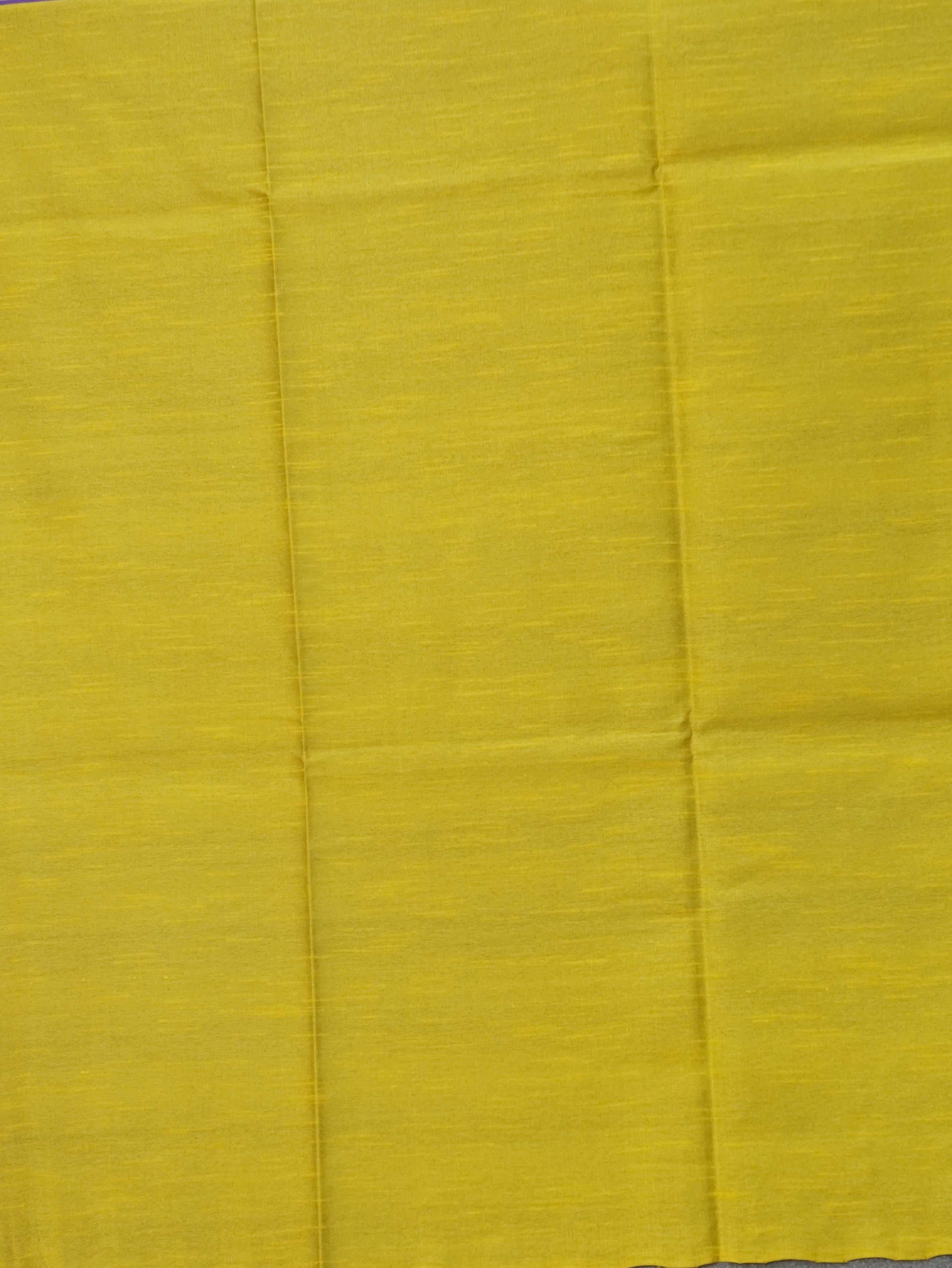 Raw Silk Saree with sequins Work | TTDS2100