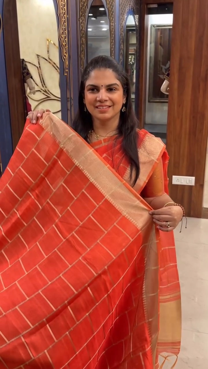 Tissue Organza Saree | TTDS2824

Lightweight and sheer tissue organ...