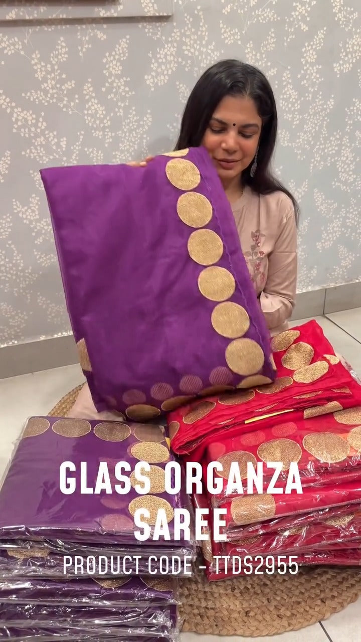 Glass Organza Saree | TTDS2955

Lightweight and classy, this Glass ...