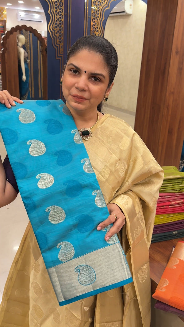 Tussar Silk Saree | TTDS2859

Tussar Silk Saree, known for its rich...