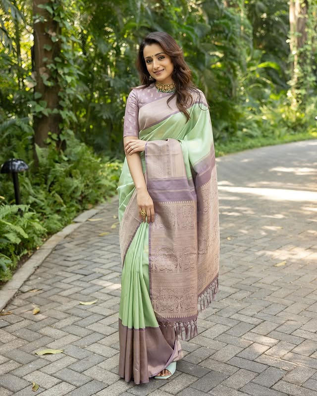 Trisha Inspired Semi Silk Saree  | TTDS1730