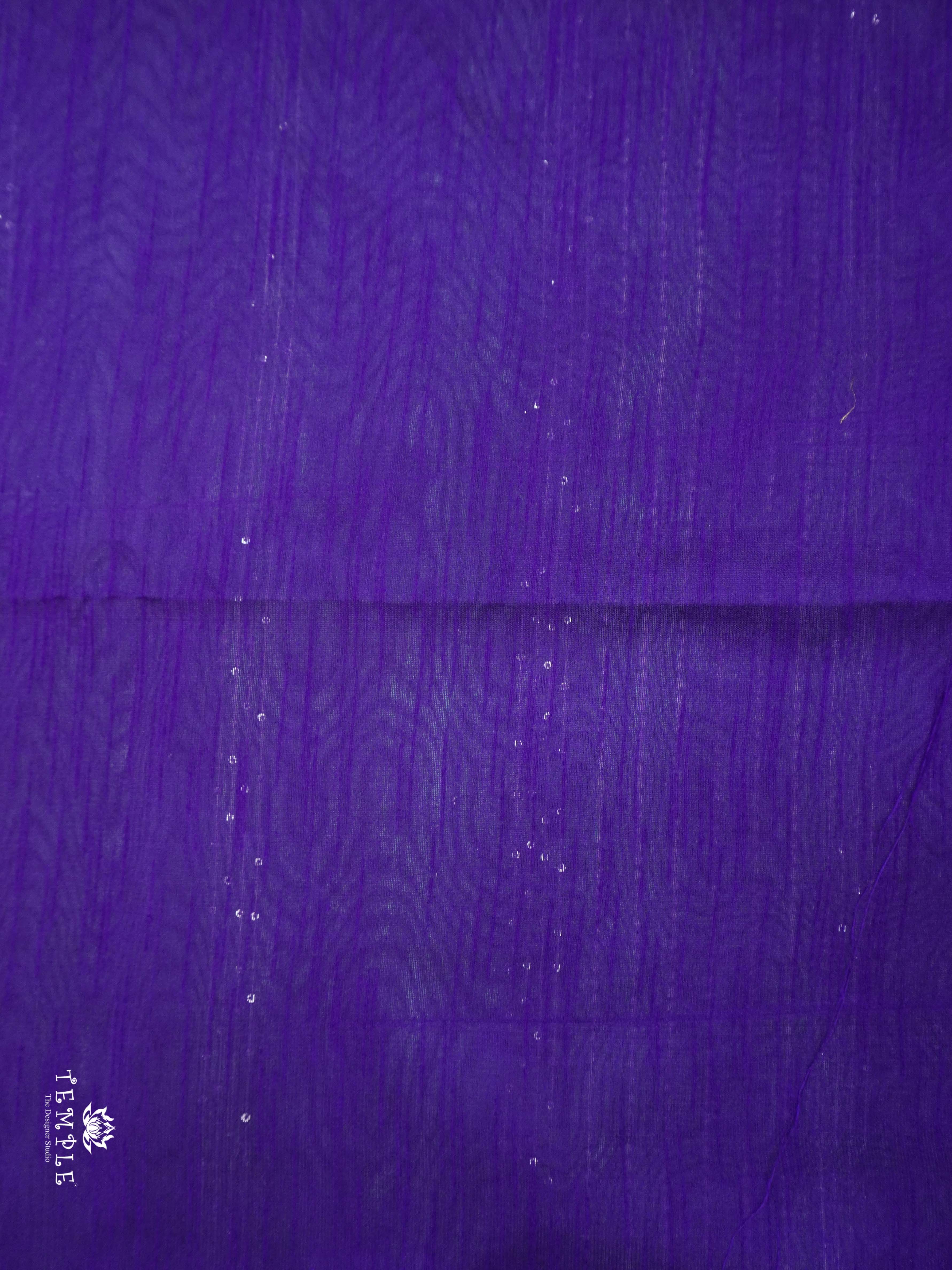 Raw Silk Saree with sequins Work | TTDS2100
