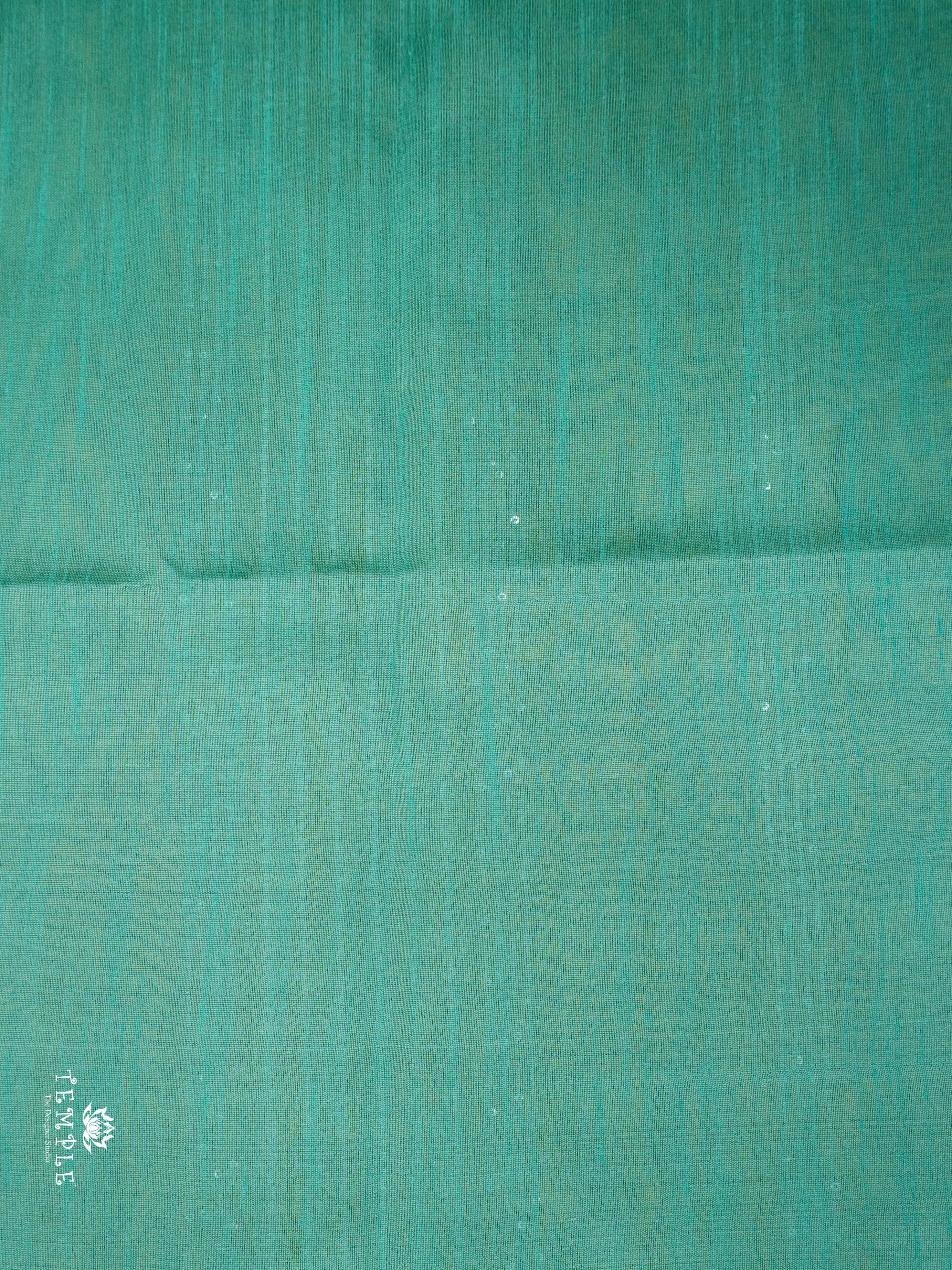 Raw Silk Saree with sequins Work | TTDS2100