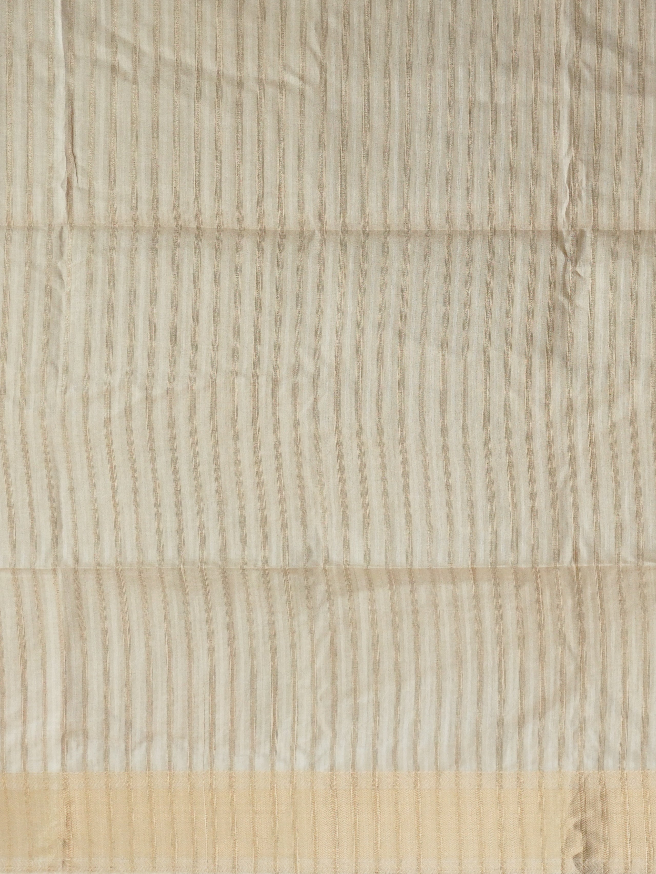 Tussar Silk Saree | TTDS3214