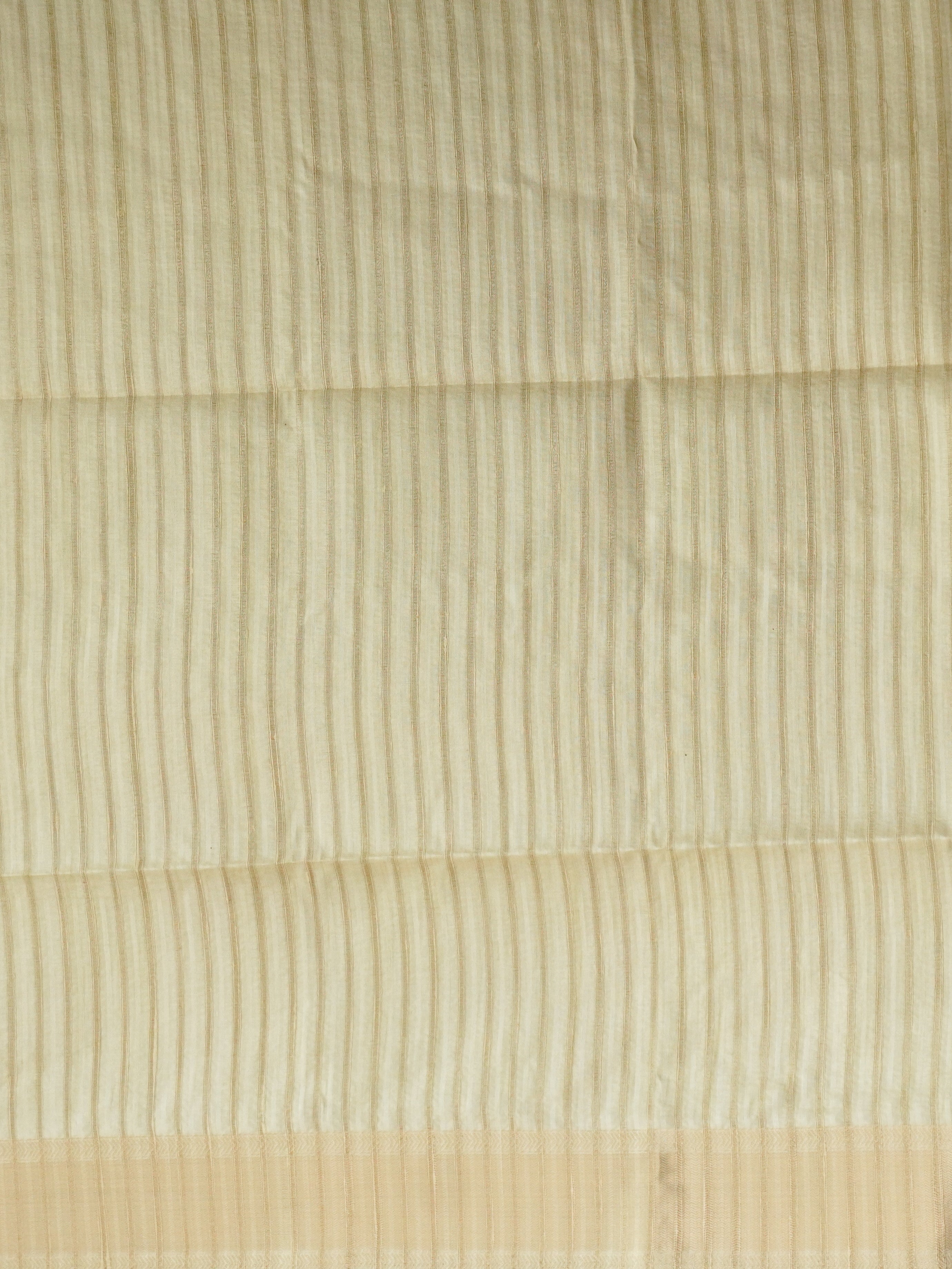 Tussar Silk Saree | TTDS3217