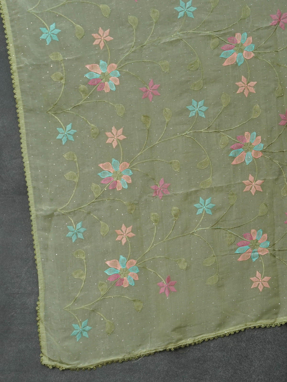 Crushed Organza Saree | TTDS3626