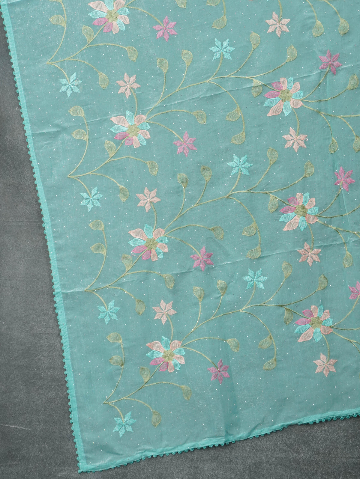 Crushed Organza Saree | TTDS3626