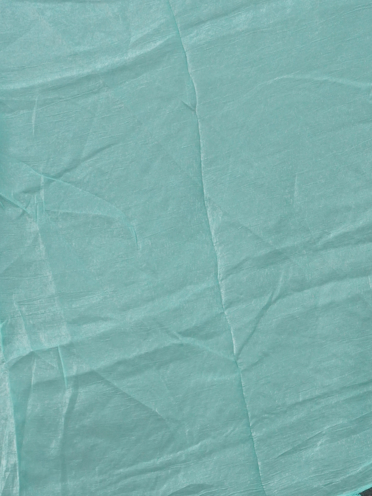 Crushed Organza Saree | TTDS3643