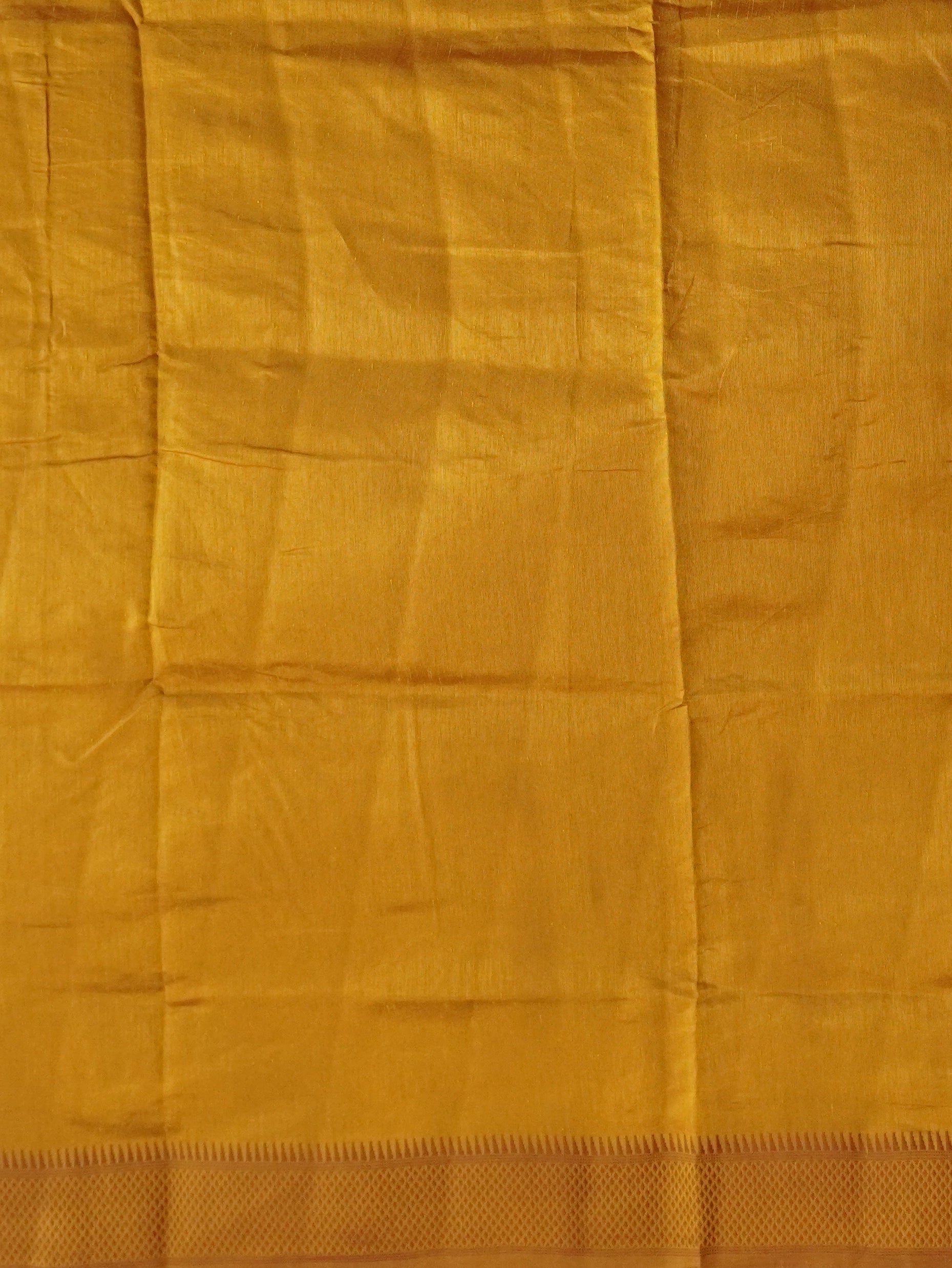 Fancy Tussar Saree | TTDS3228
