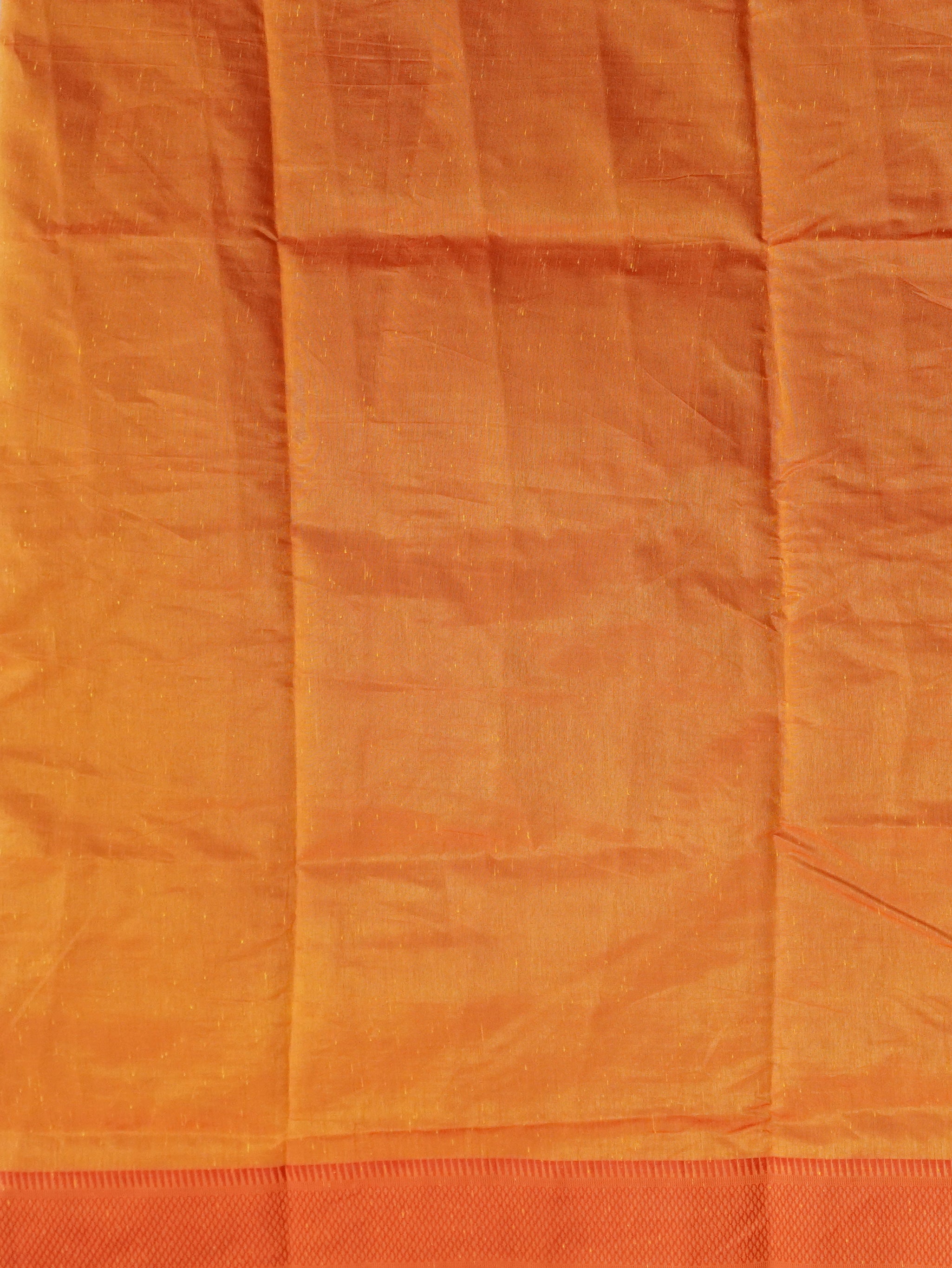 Fancy Tussar Saree | TTDS3228