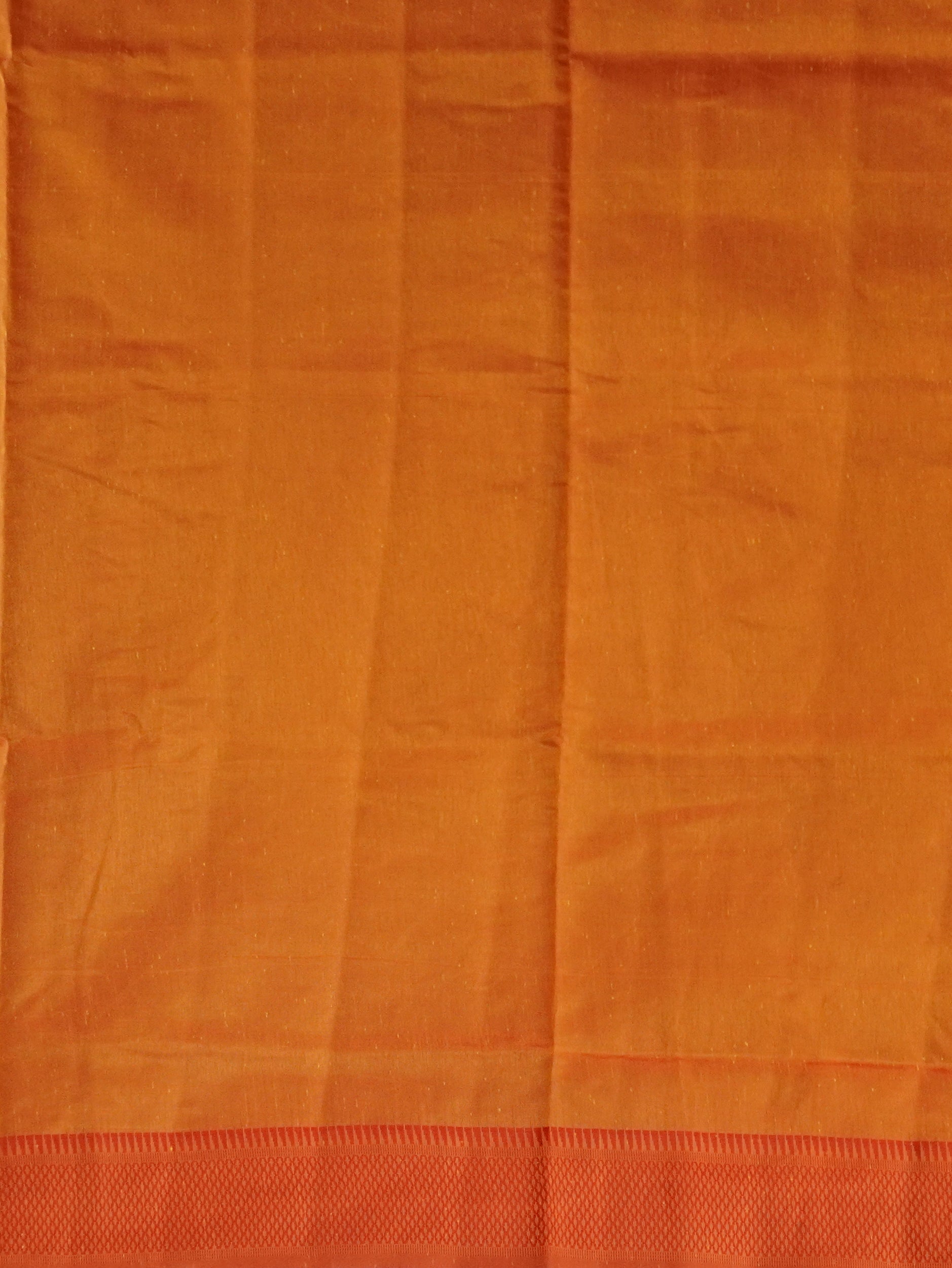 Fancy Tussar Saree | TTDS3221