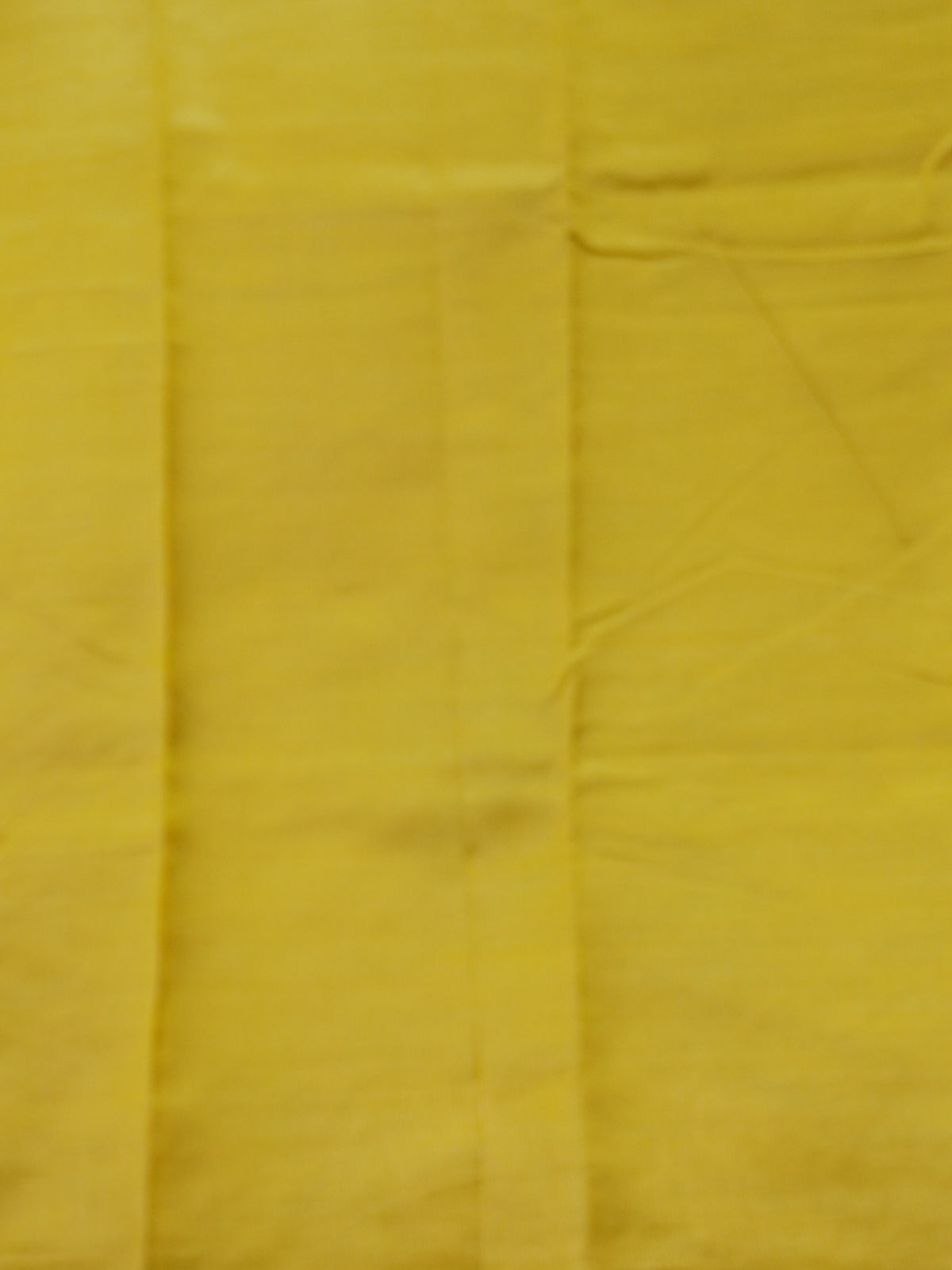 Tussar Silk Saree | TTDS3629