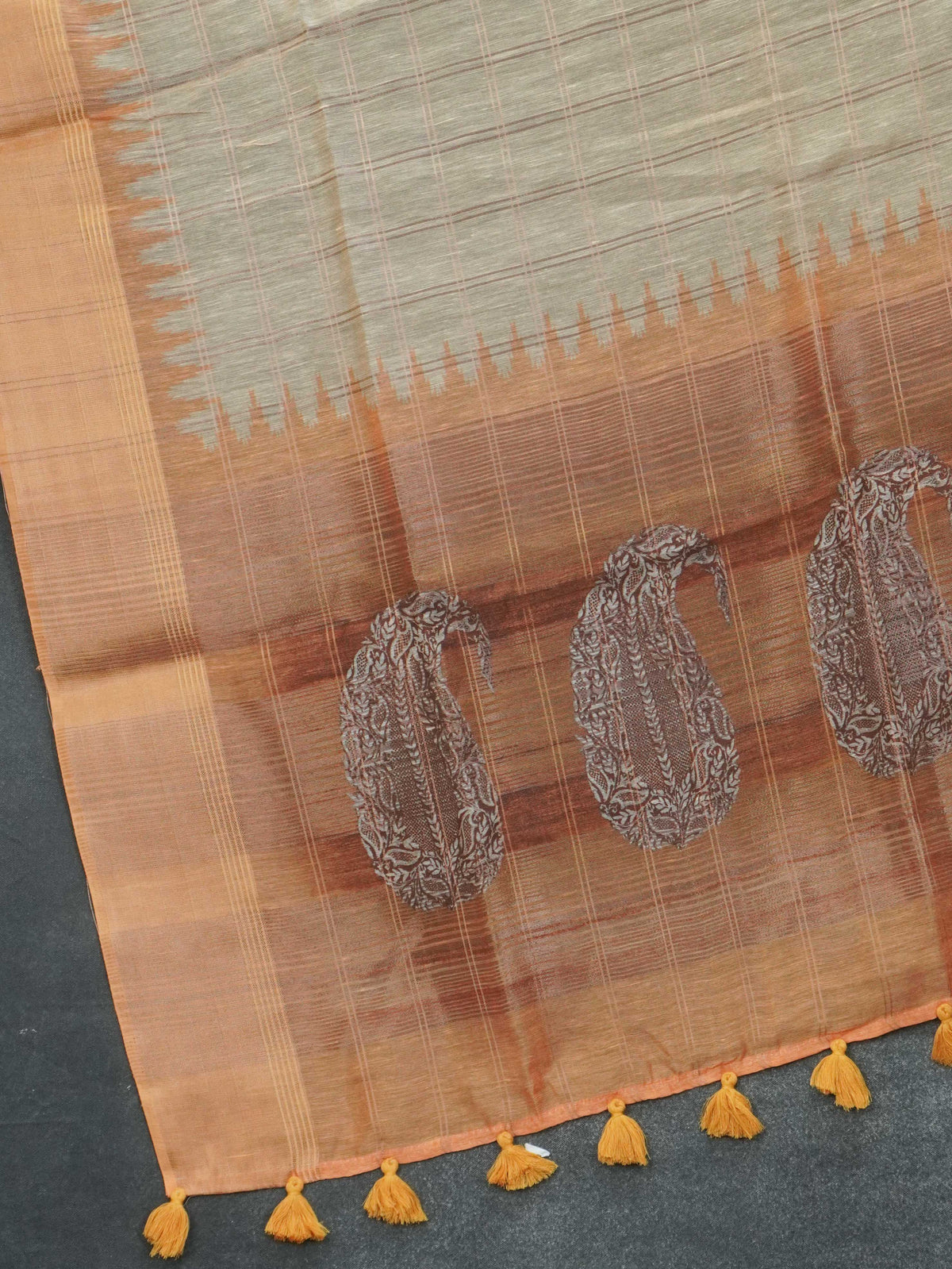 Tussar Saree | TTDS3651