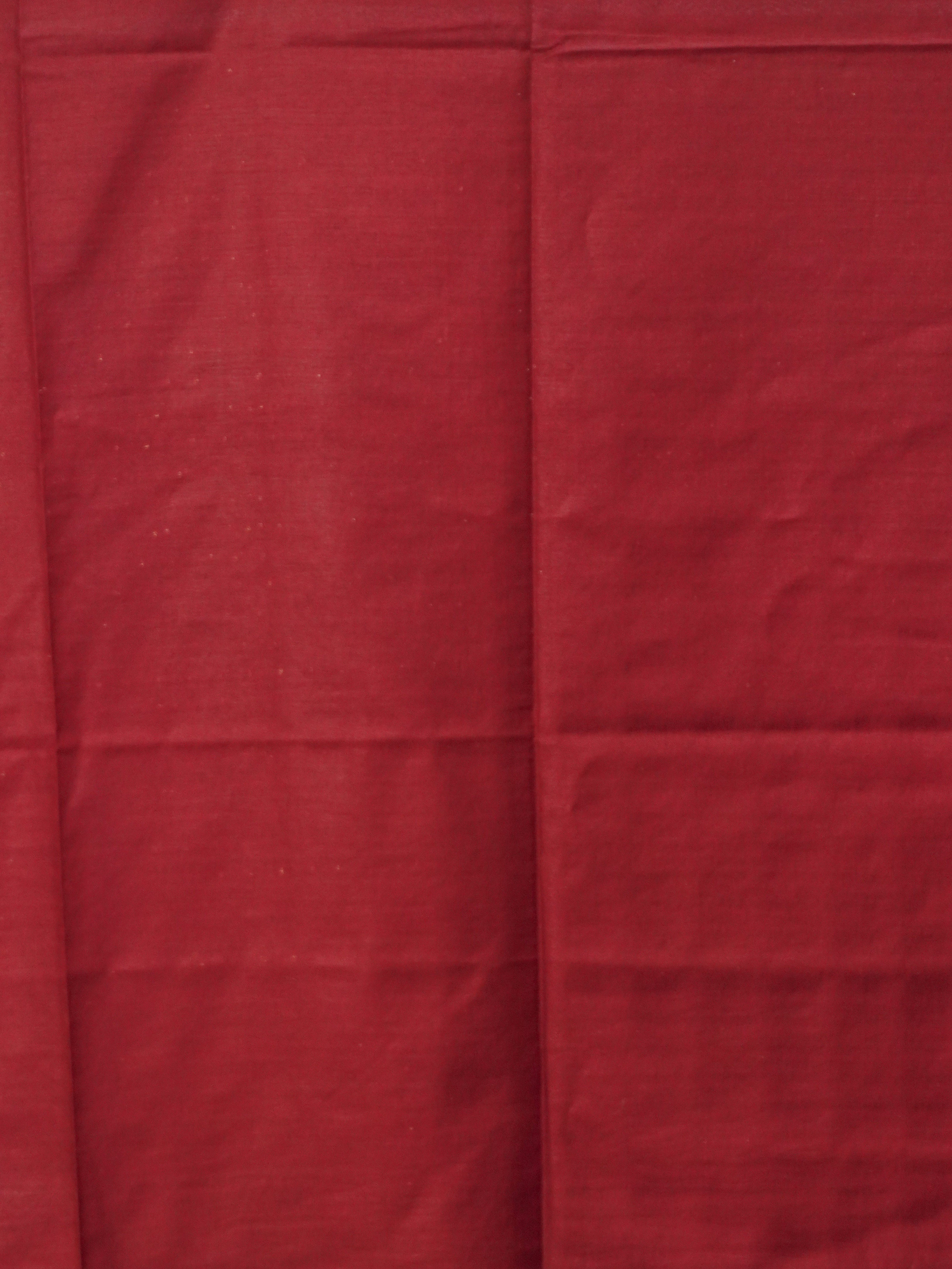 Baswada Cotton Saree | TTDS3241