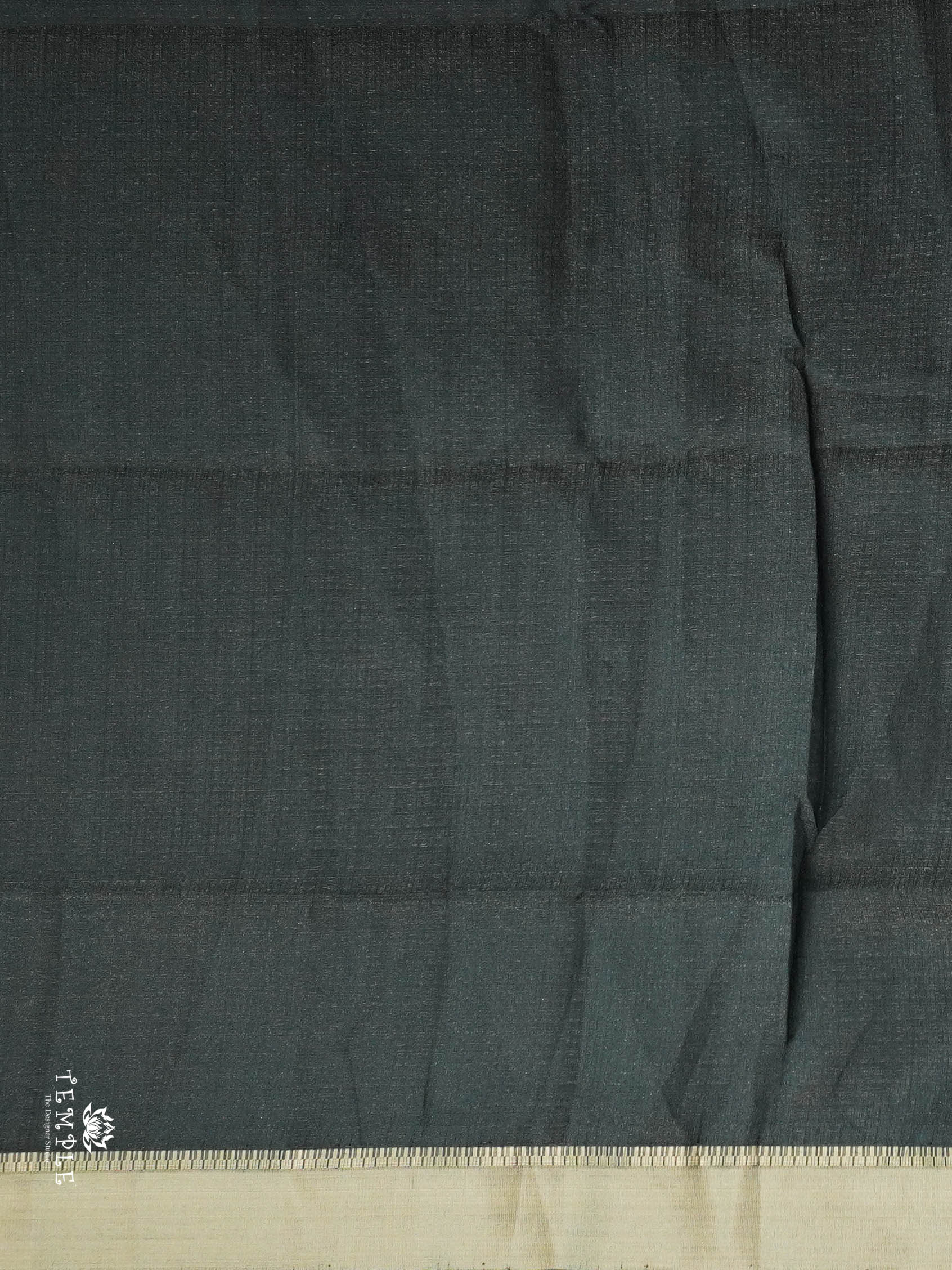 Tissue Organza Saree | TTDS2824