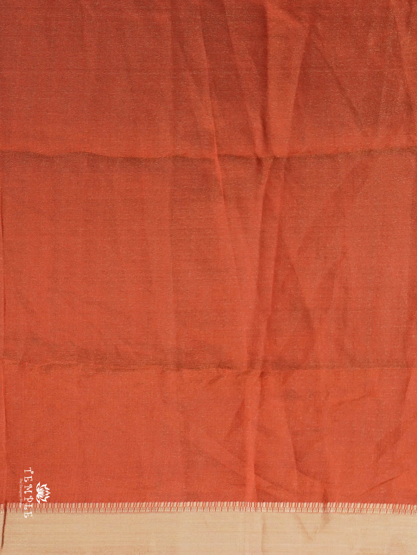 Tissue Organza Saree | TTDS2824