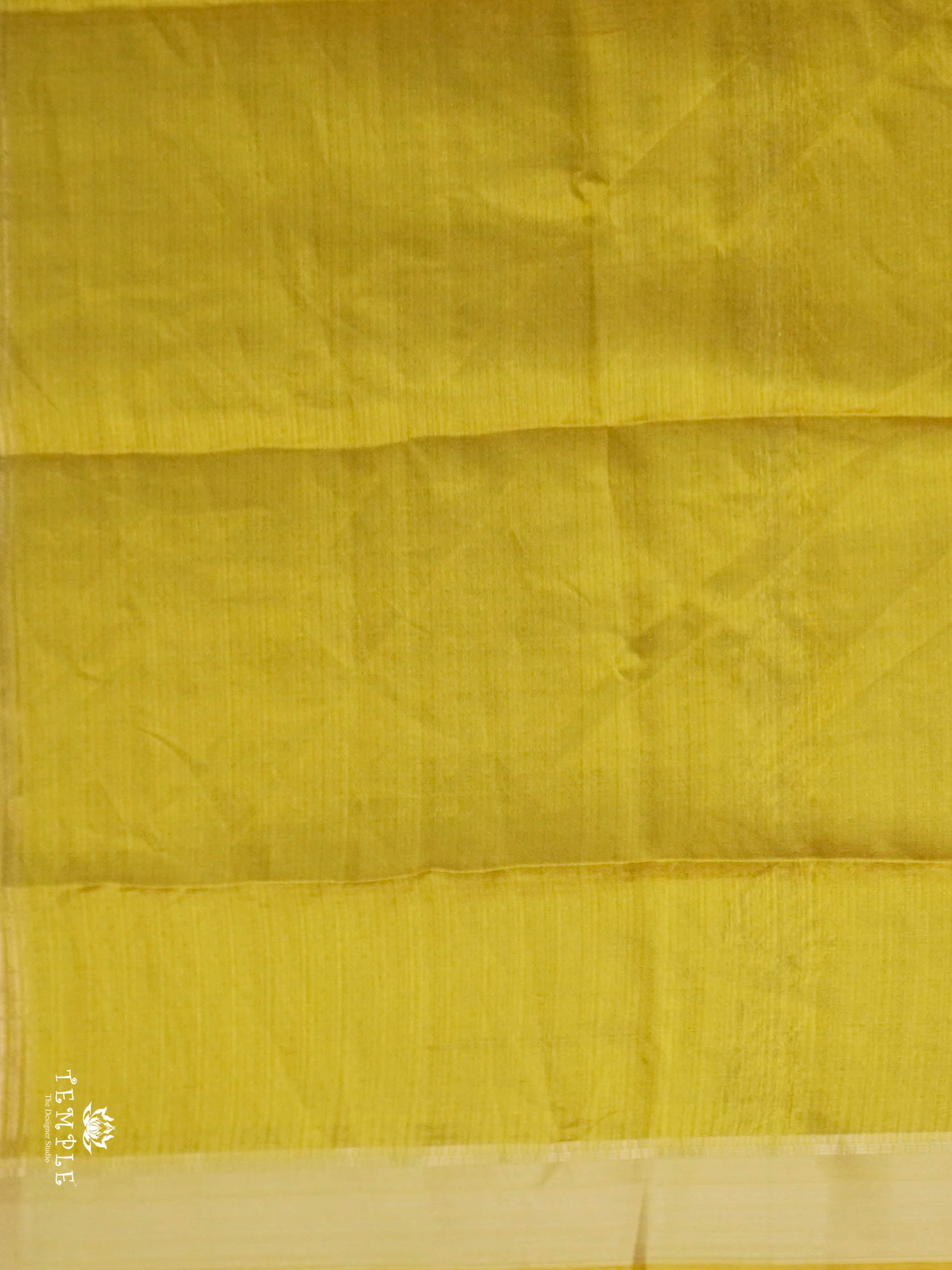 Tissue Organza Saree | TTDS2824