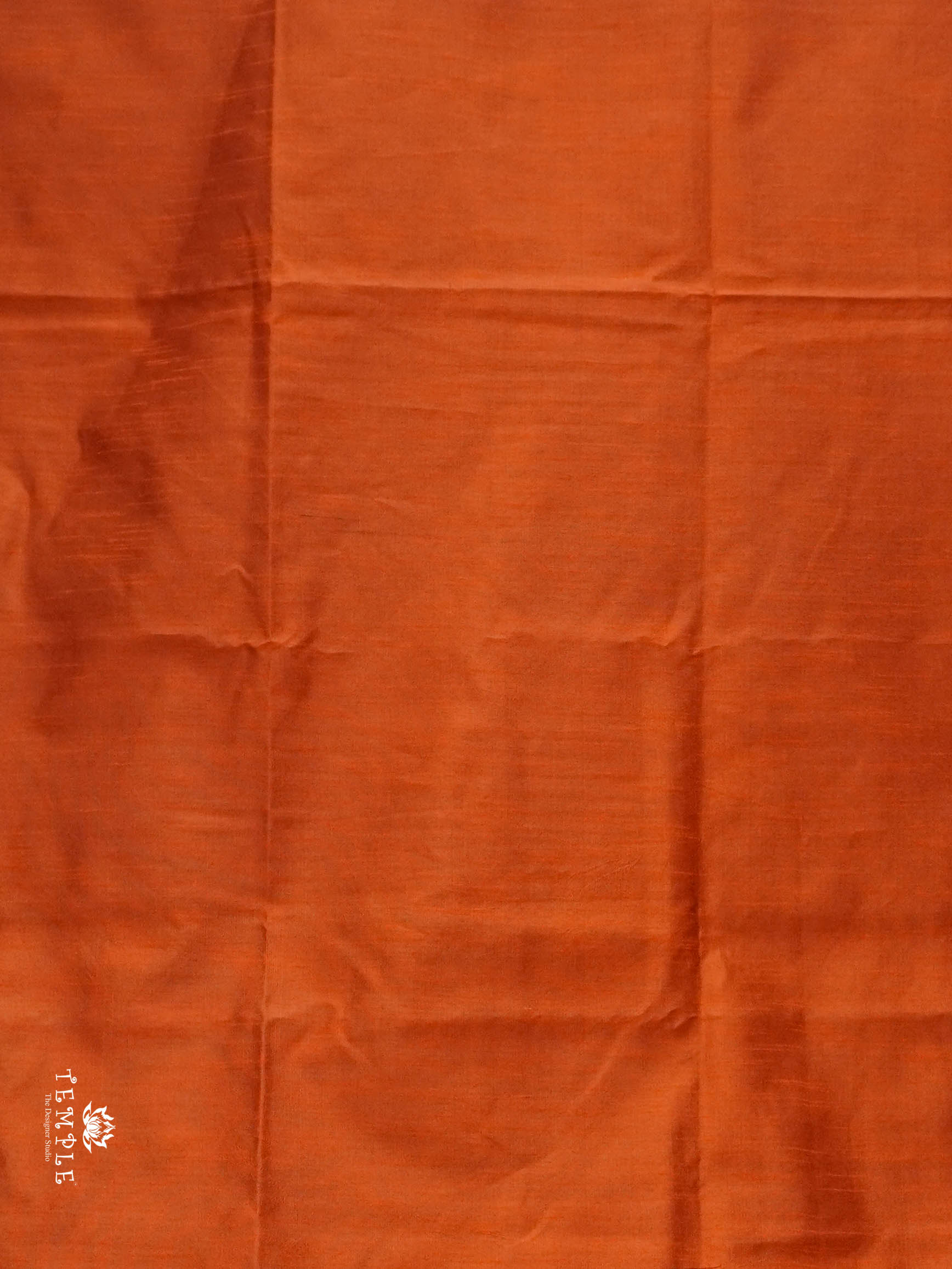 Raw Silk Saree with sequins Work | TTDS2100