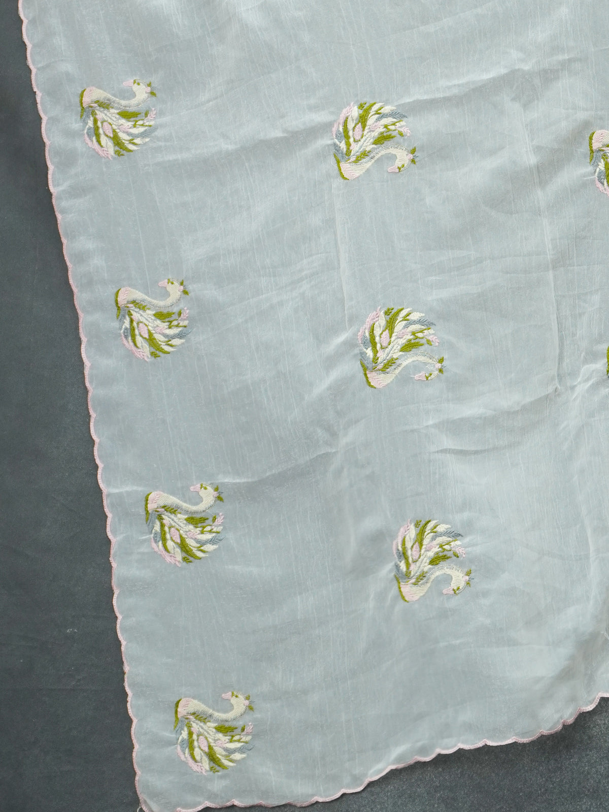 Crushed Organza Saree | TTDS3660
