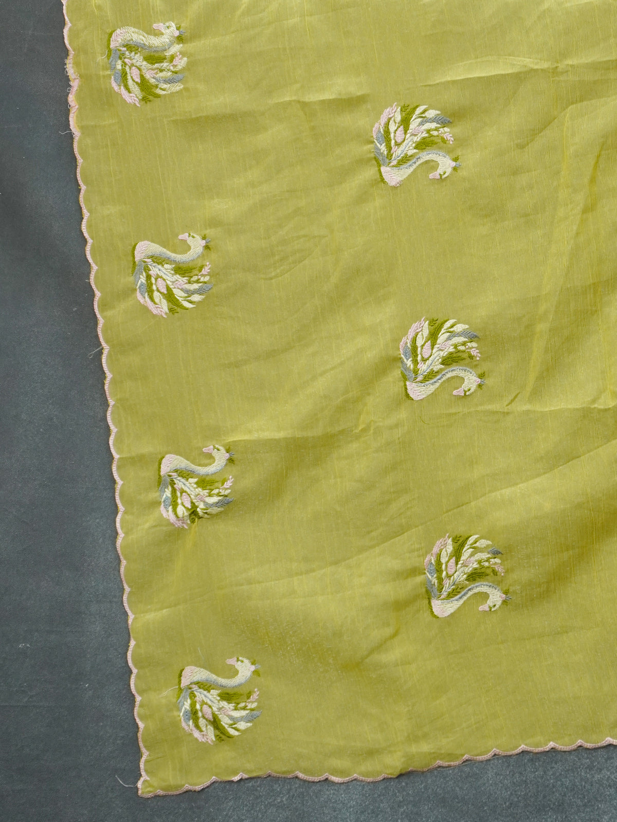 Crushed Organza Saree | TTDS3660
