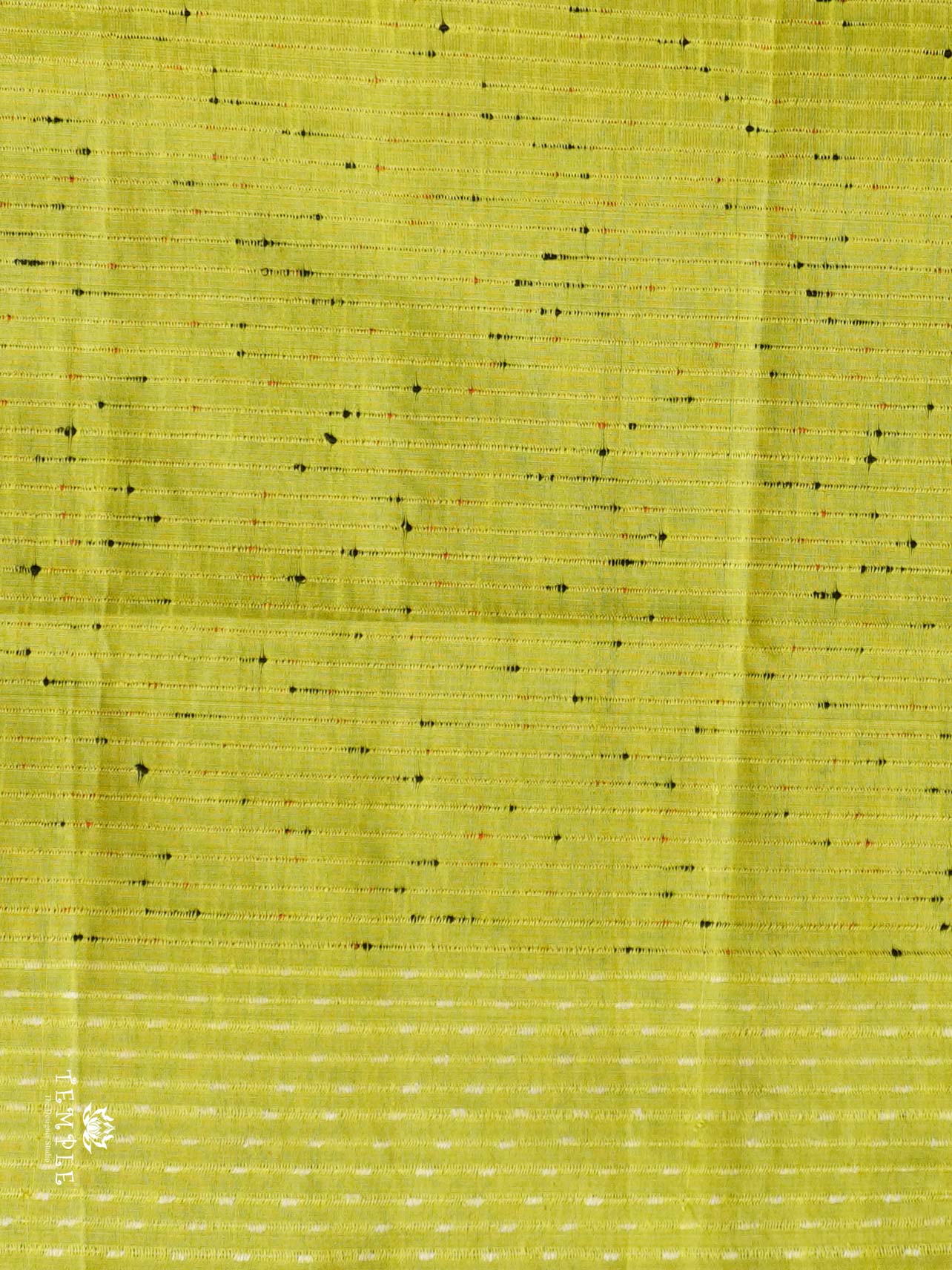 Raw Silk Saree With Sequins Design | TTDS2337