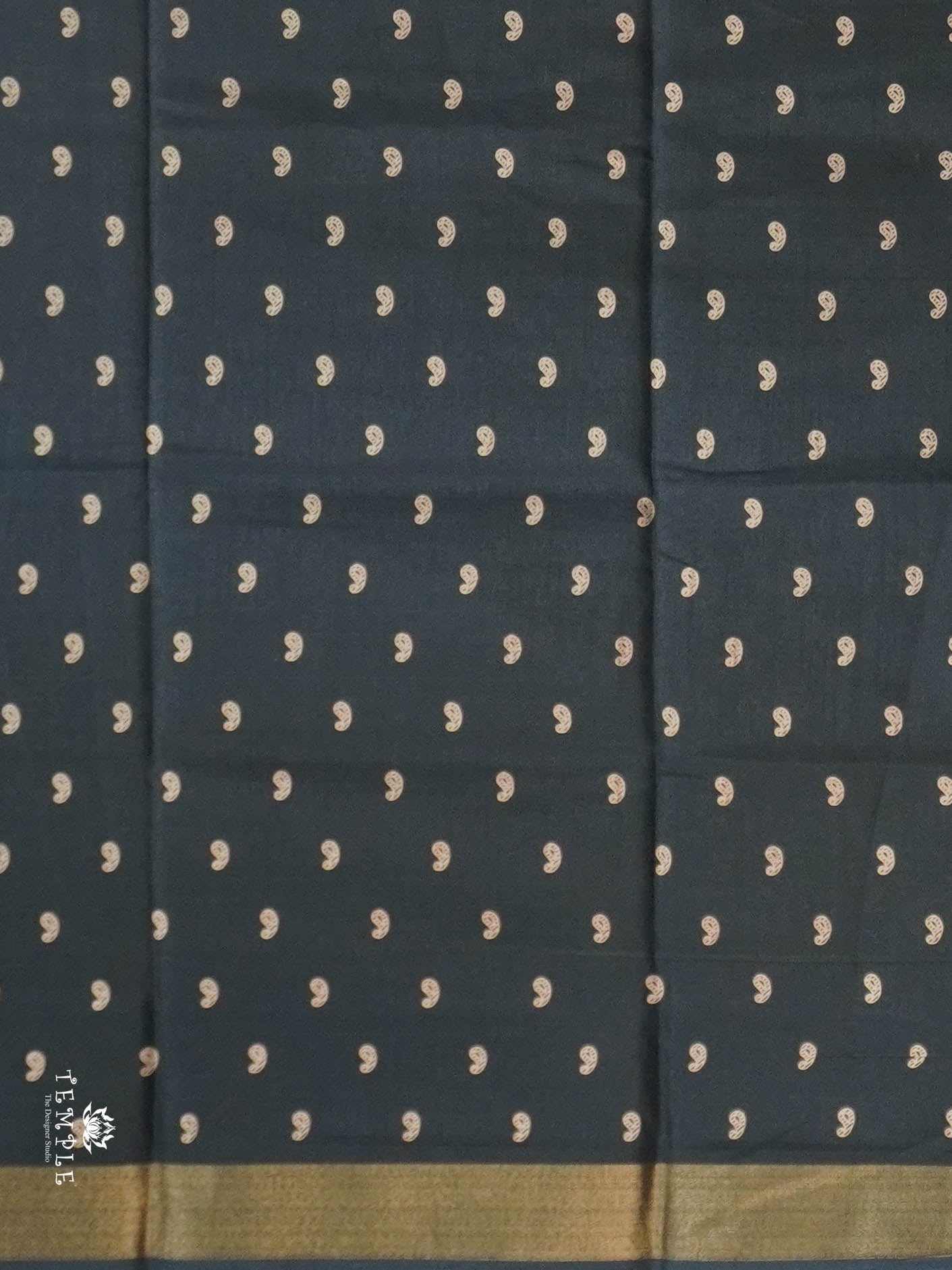 Dola Silk Saree With Sequins Border | TTDS2844