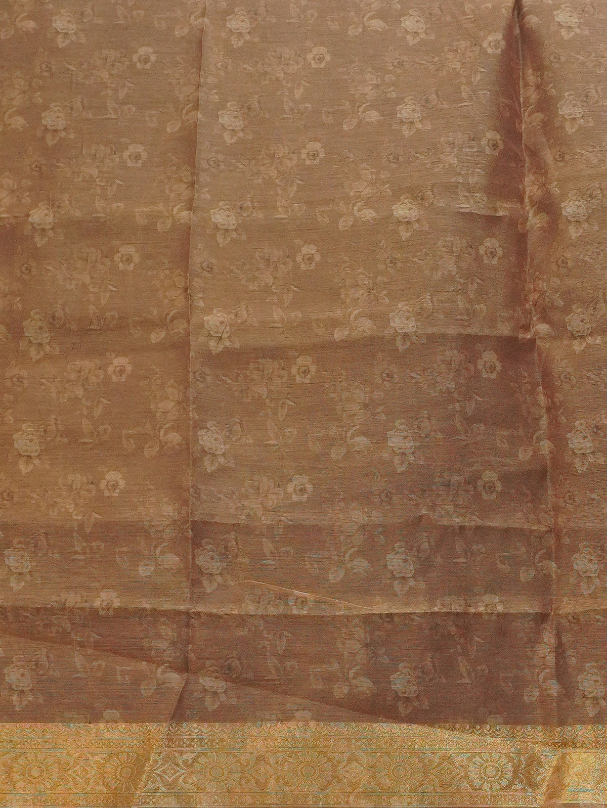 Jute Banarasi Saree | TTDS3680