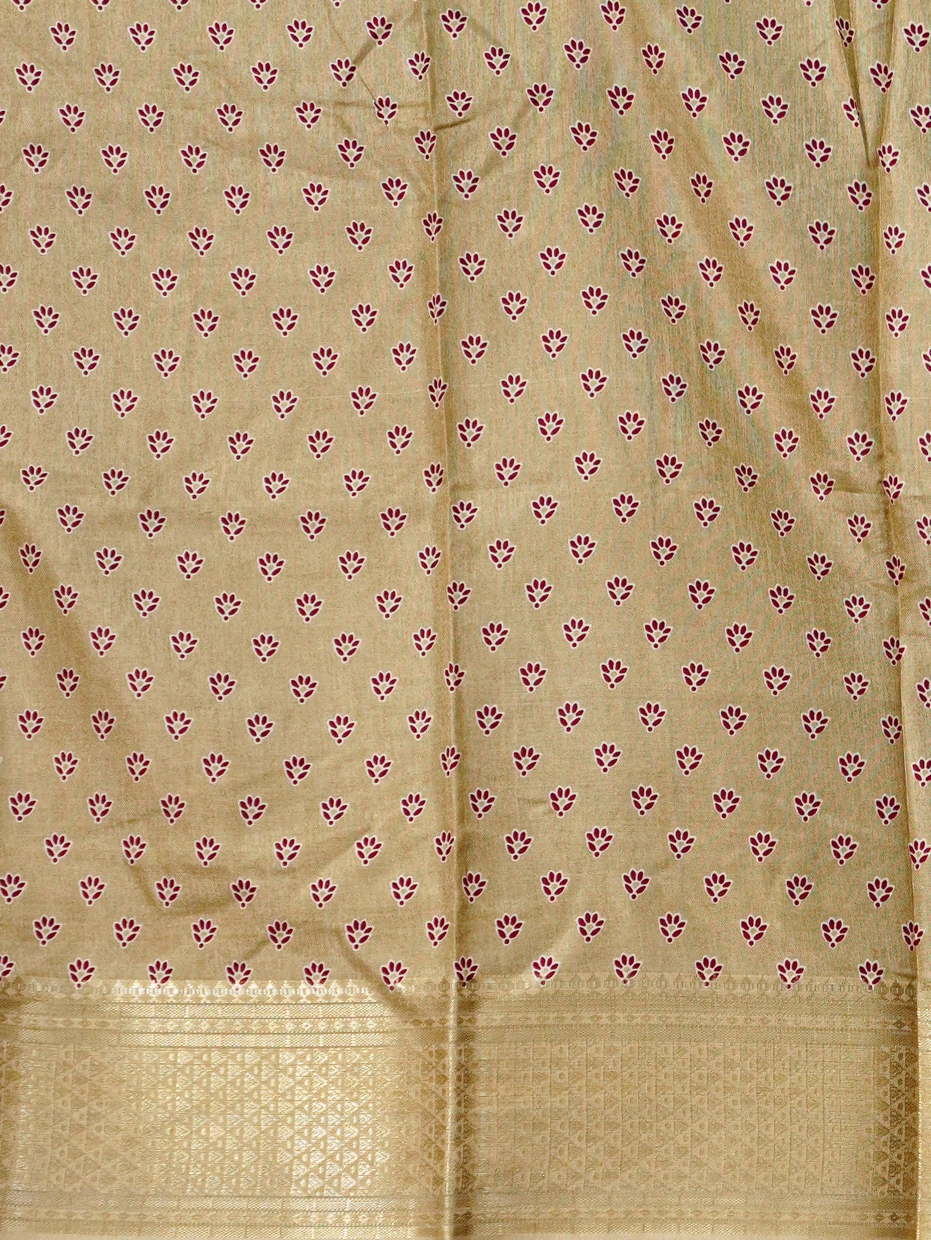 Printed Dola Silk Saree | TTDS3244