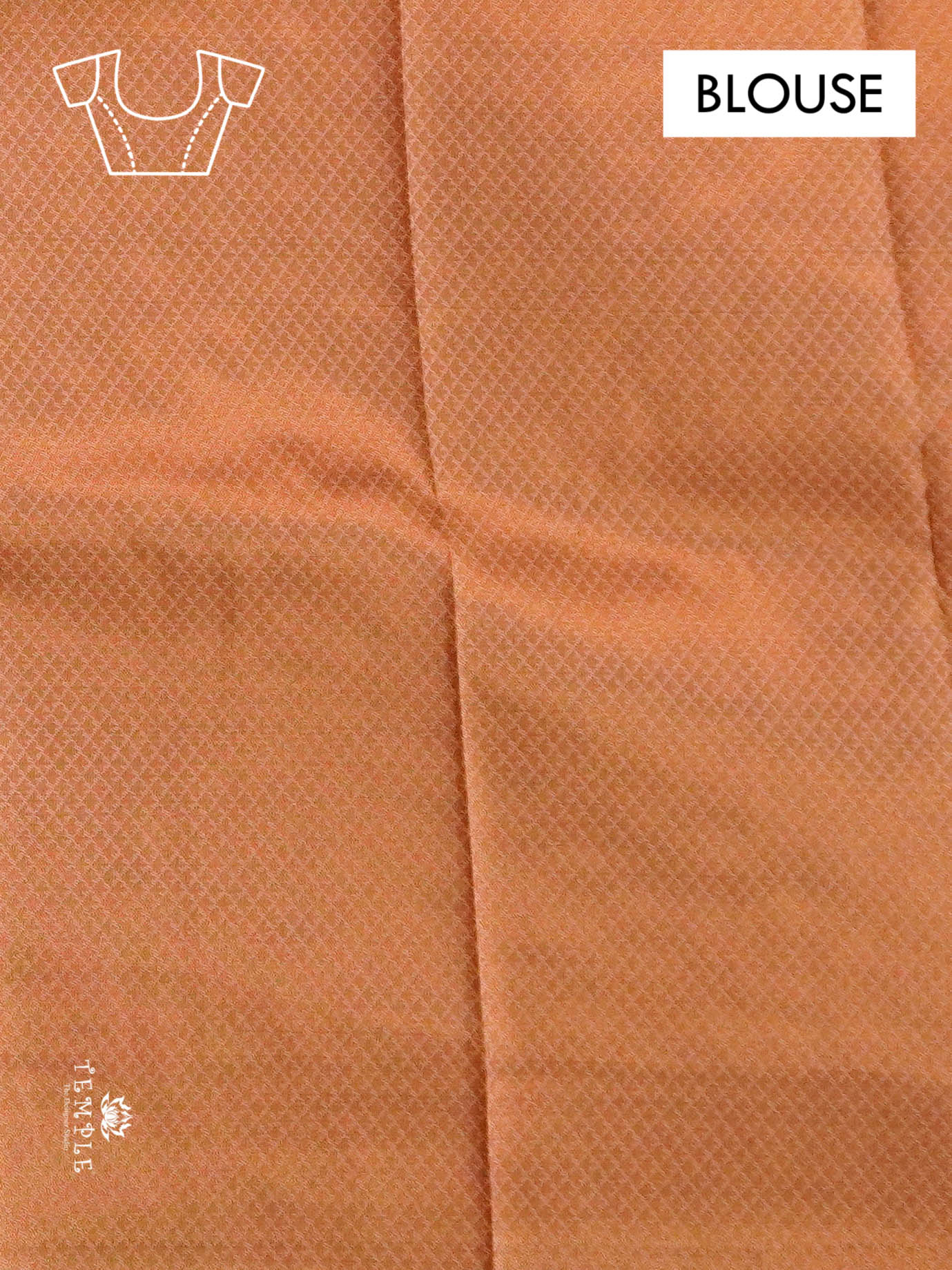 Semi Kanchi Silk Saree | TTDS1399