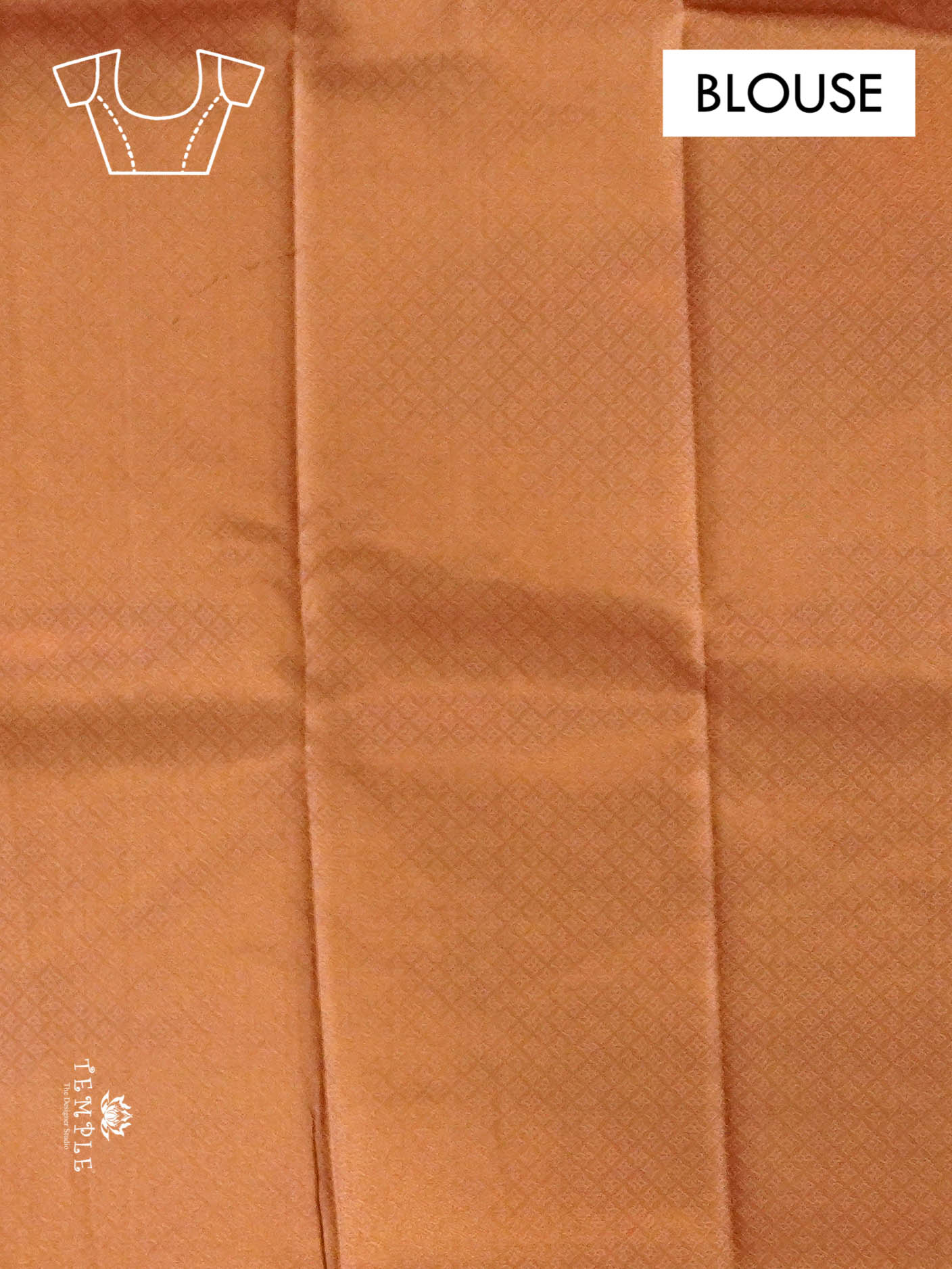 Semi Kanchi Silk Saree | TTDS1398