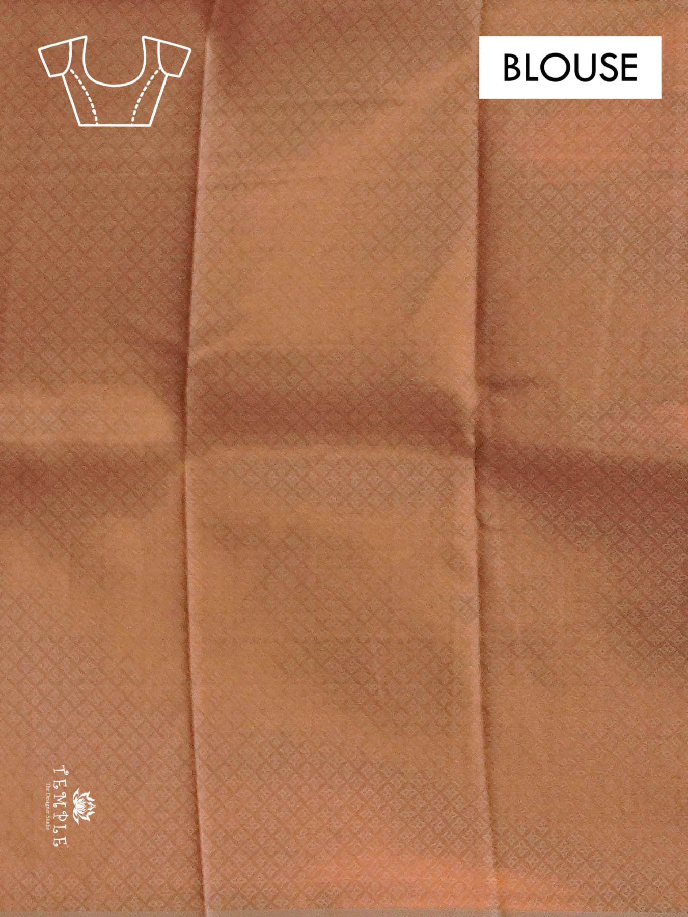 Semi Kanchi Silk Saree | TTDS1398