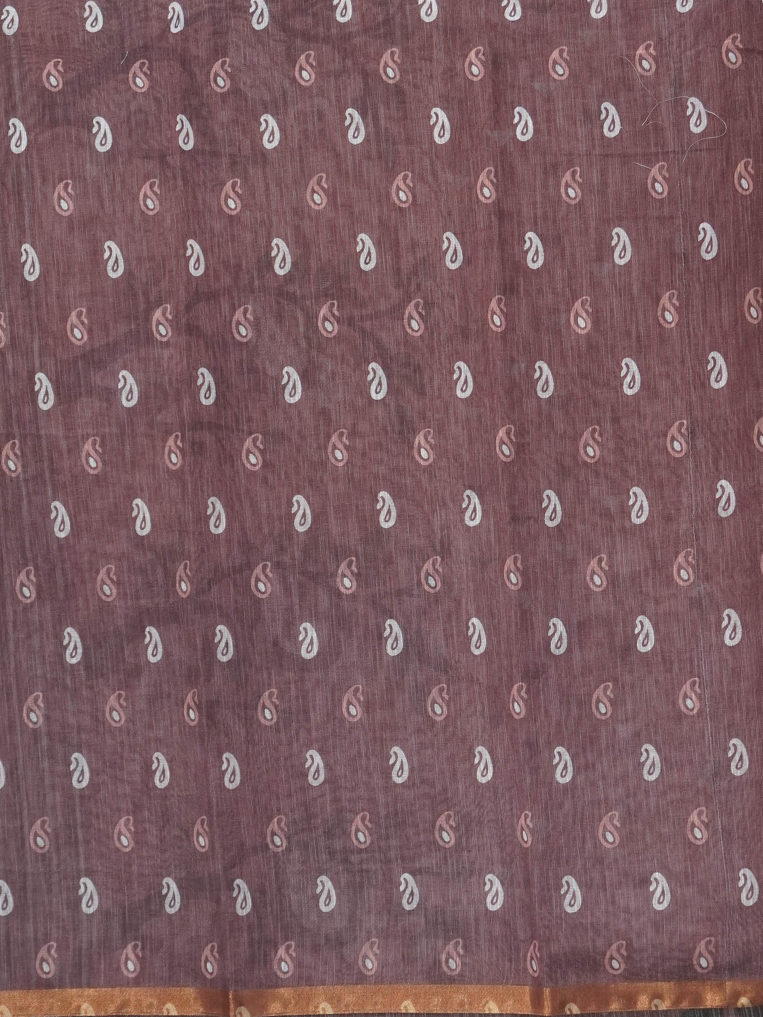 Linen Cotton Saree | TTDS3270