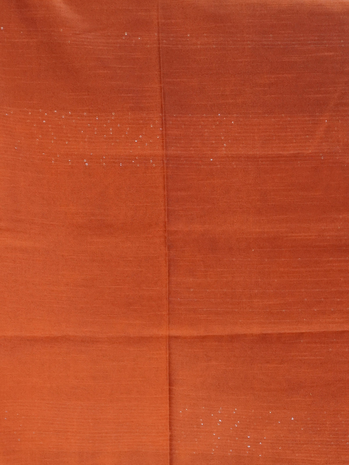 Raw Silk Saree with sequins Work | TTDS2100