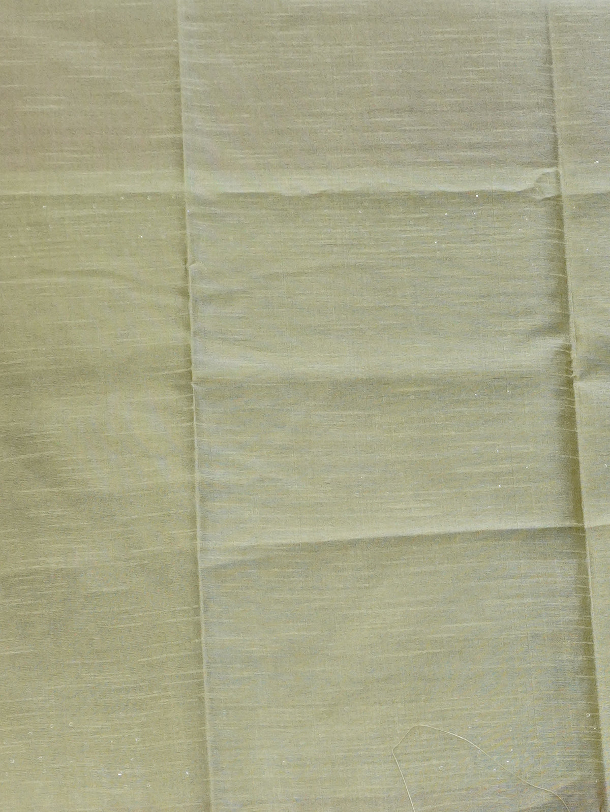 Raw Silk Saree with sequins Work | TTDS2100