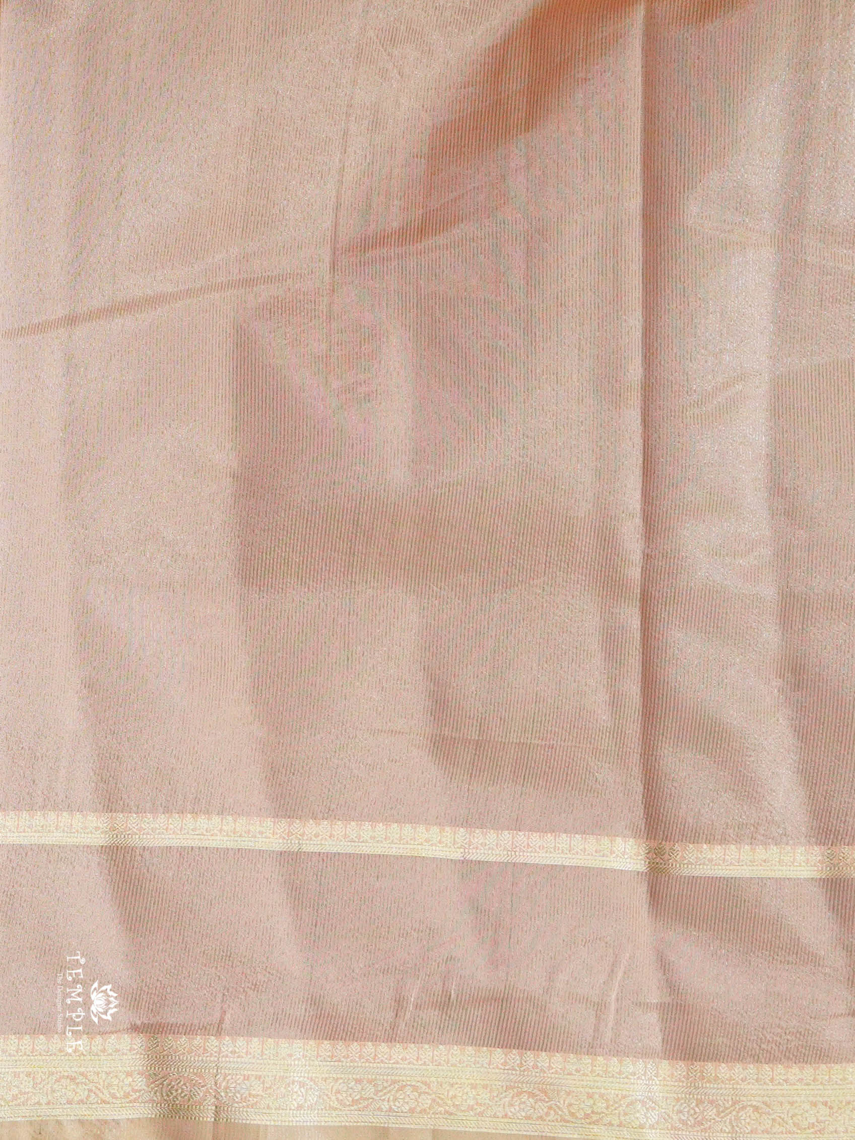 Tissue Organza Saree | TTDS1385 | Sparkling Deals