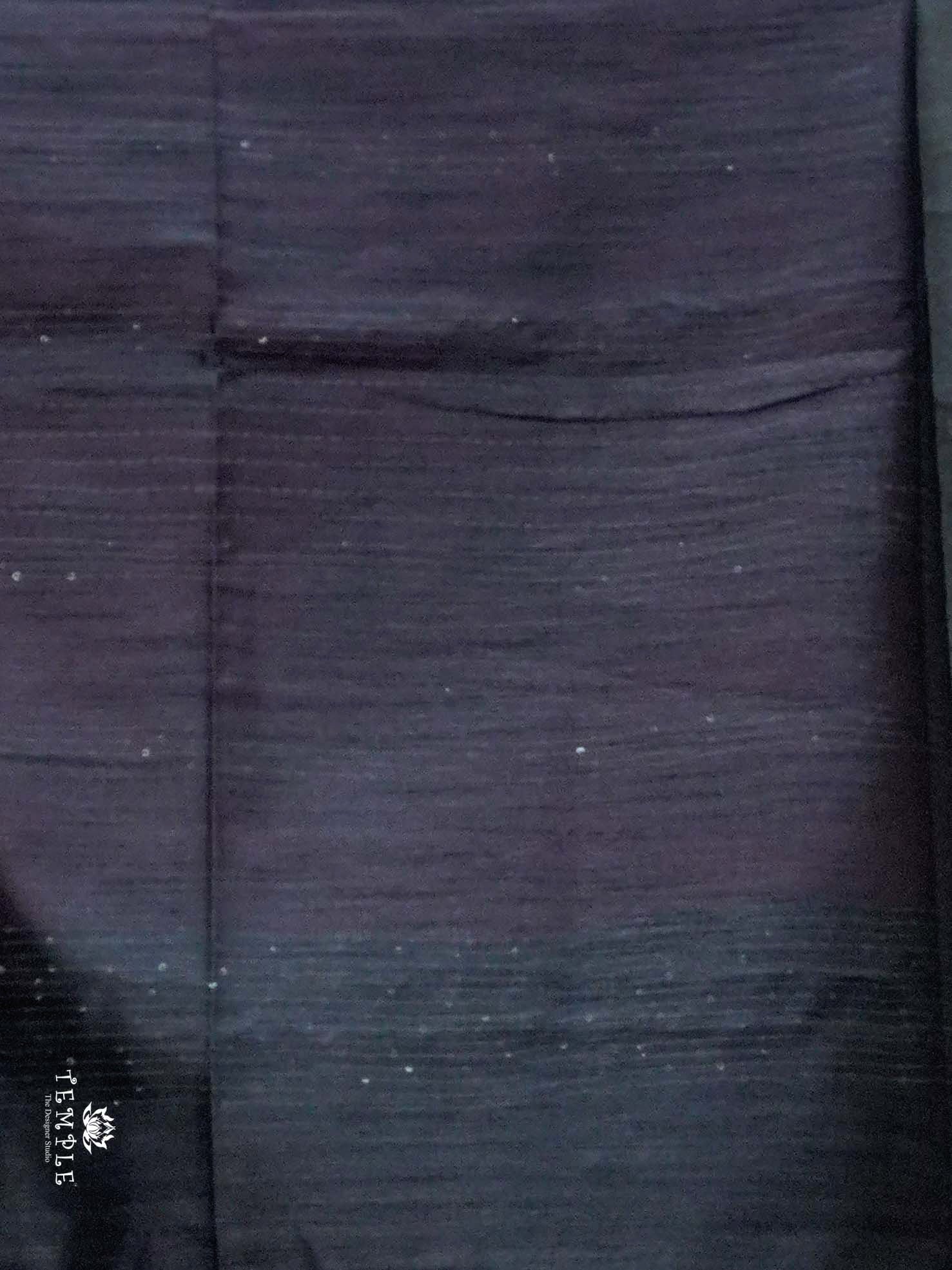 Raw Silk Saree with sequins Work | TTDS2100