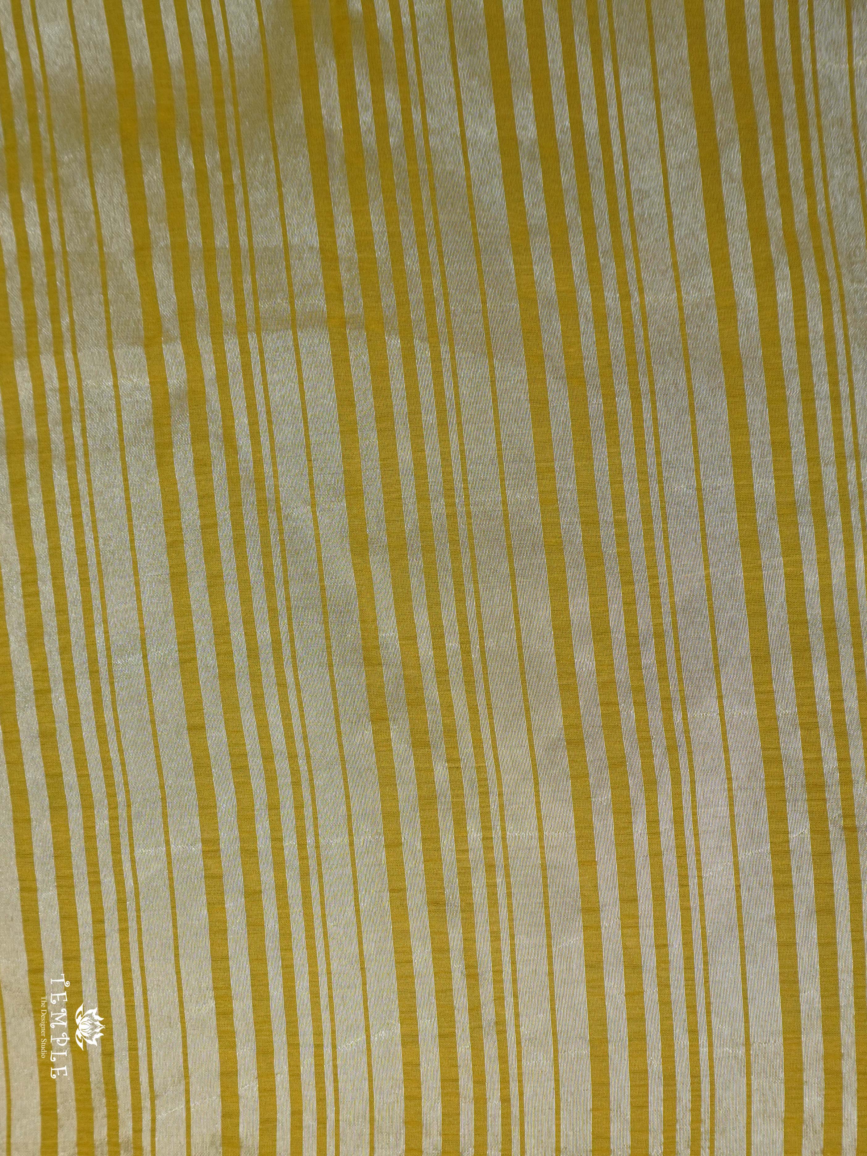 Tissue Organza Saree | TTDS1889