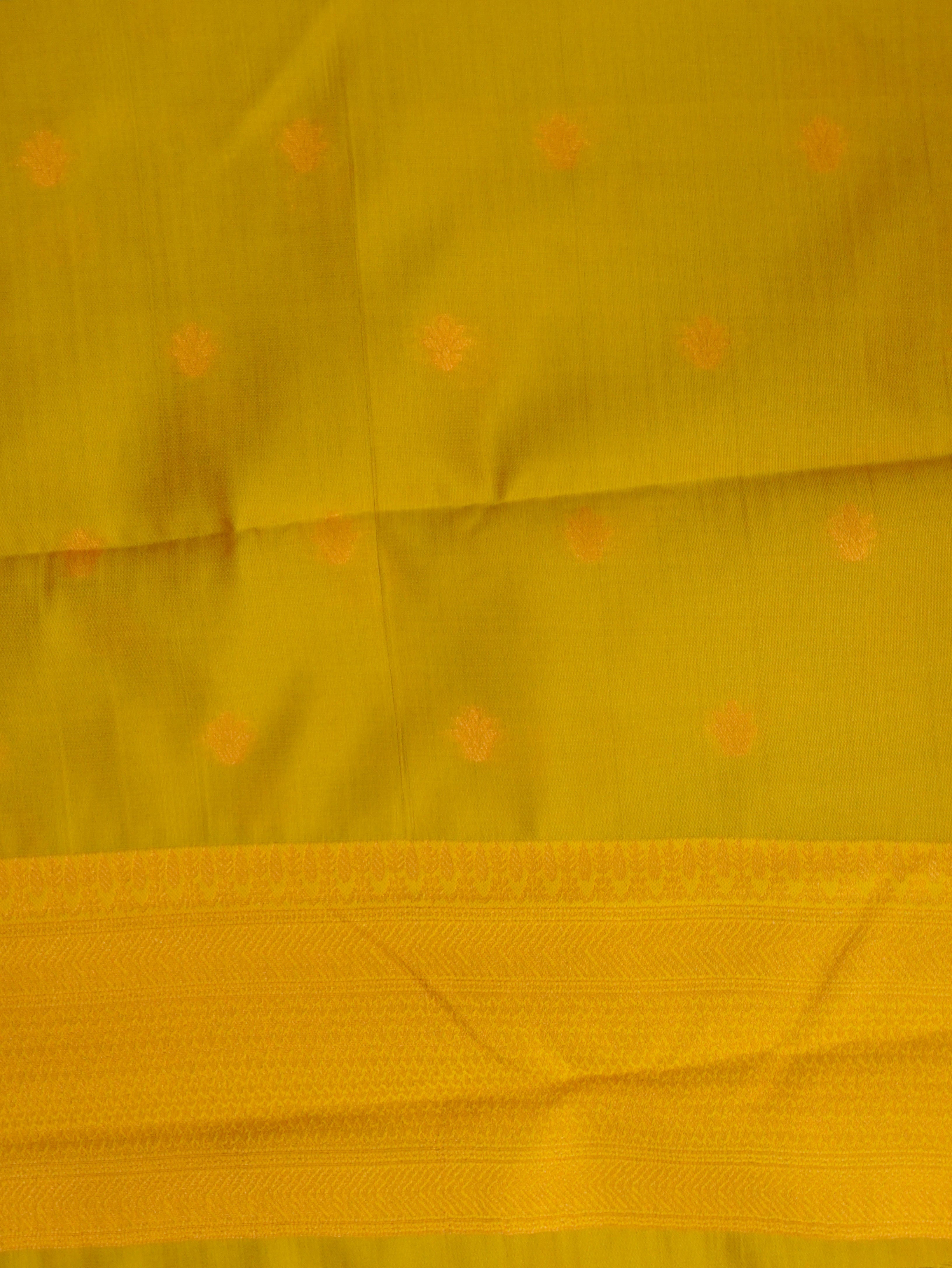 Semi Silk Saree | TTDS3281