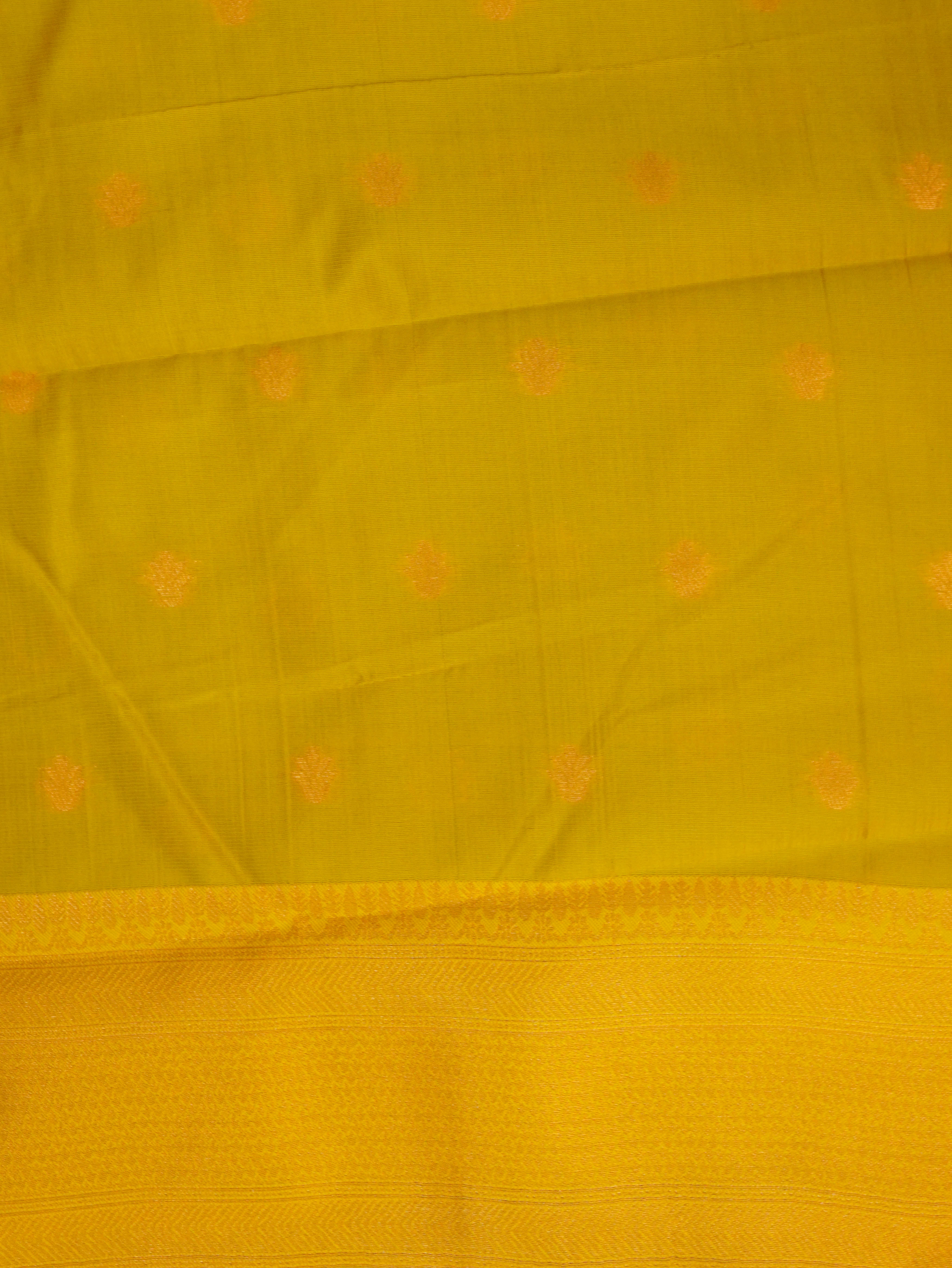 Semi Silk Saree | TTDS3281
