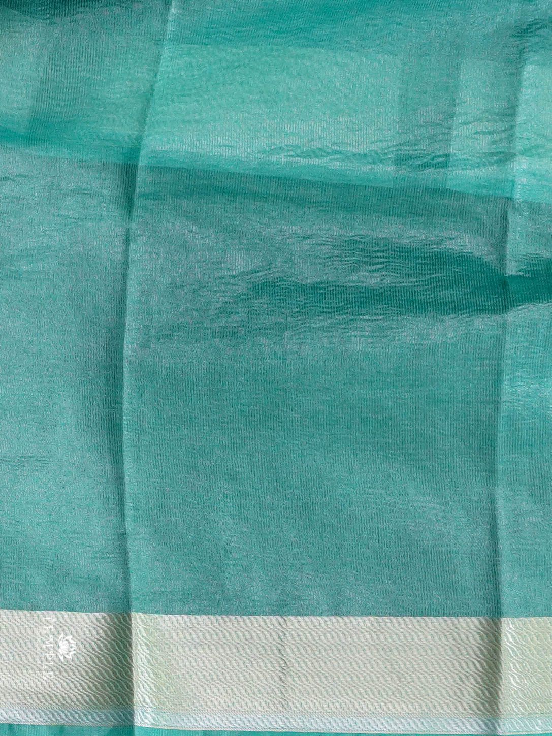 Organza Tissue Saree(Banarasi Zari Woven Pattern) | TTDS1427