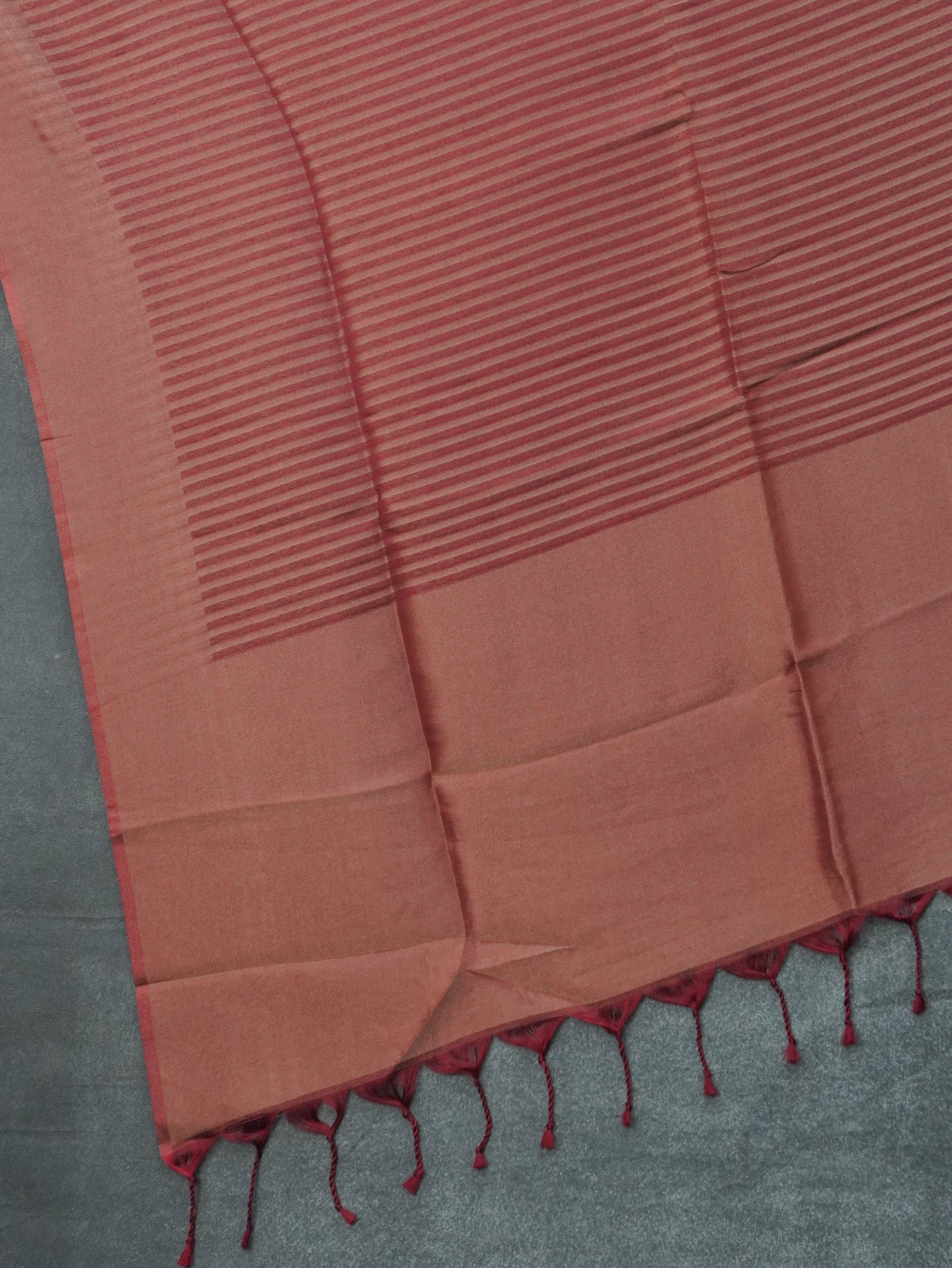 Linen Tissue Saree | TTDS3311