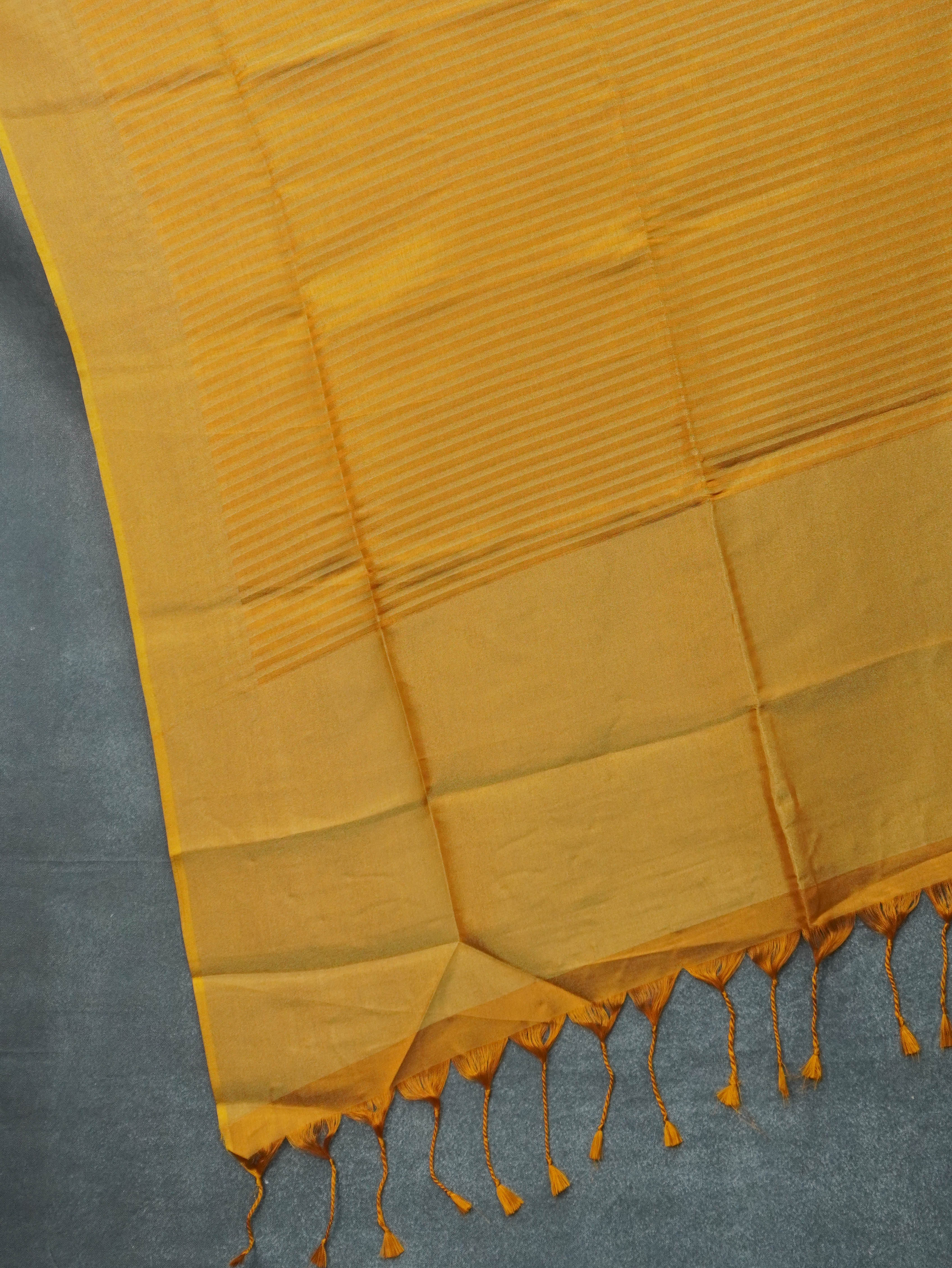 Linen Tissue Saree | TTDS3311