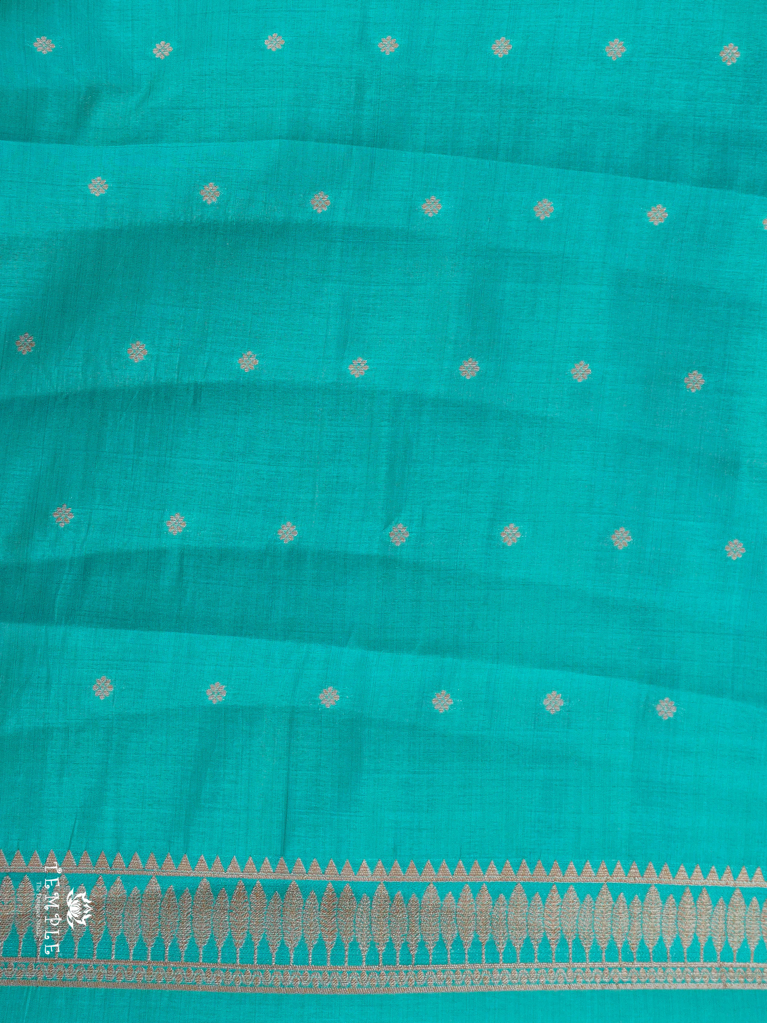 Raw Silk Saree  | TTDS2920