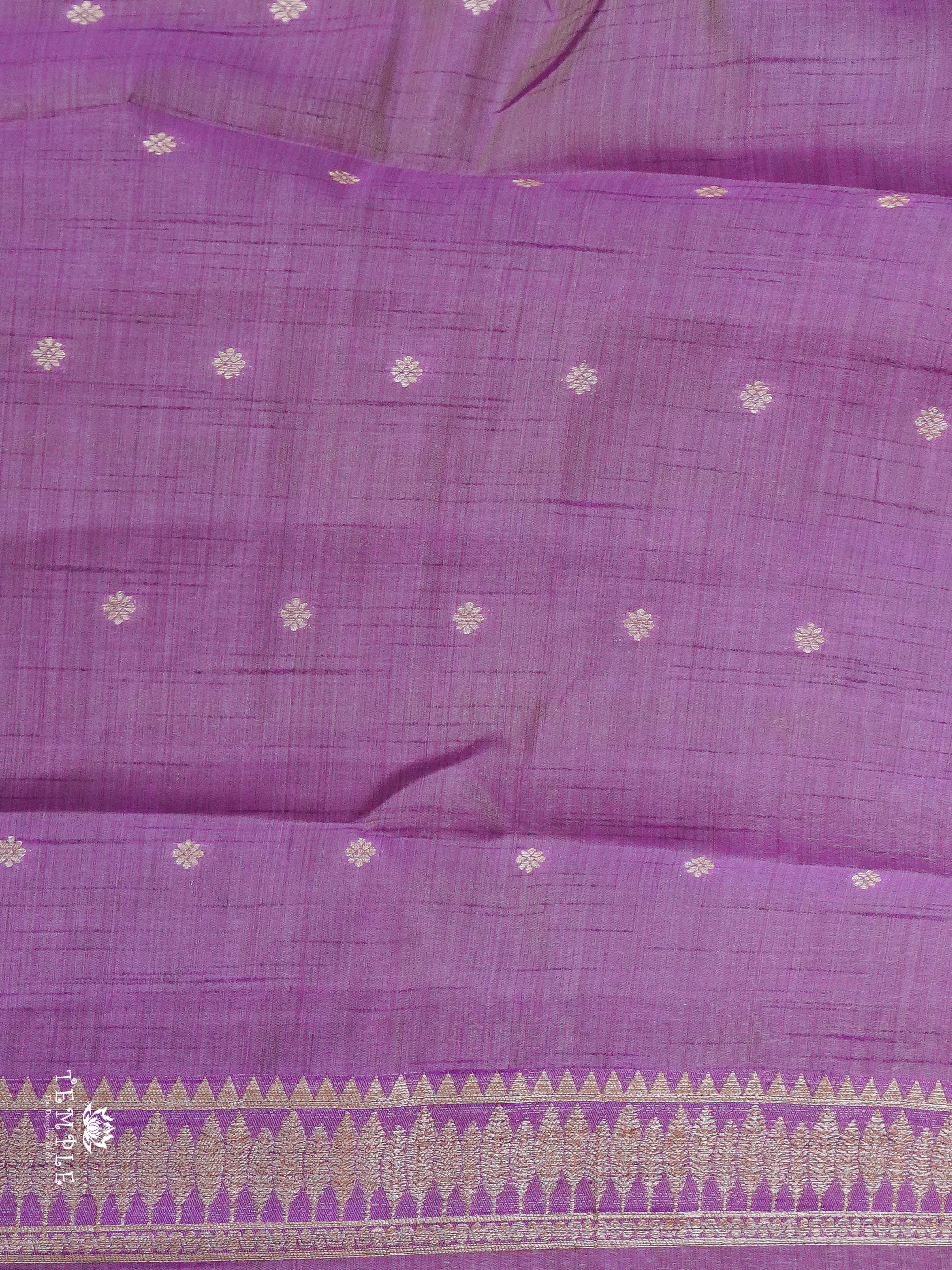 Raw Silk Saree  | TTDS2920