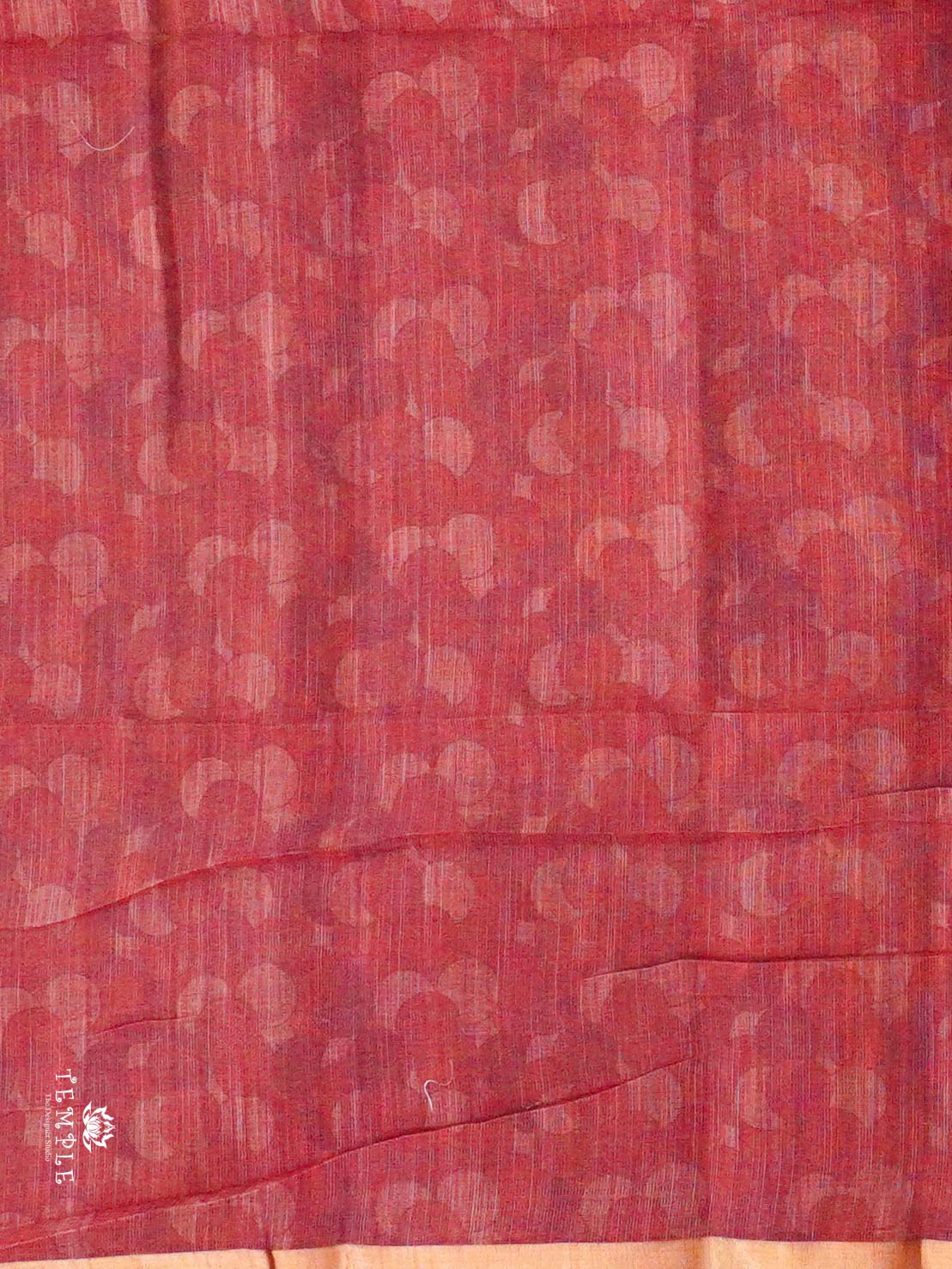 Fancy Saree With Loops Design | TTDS2400