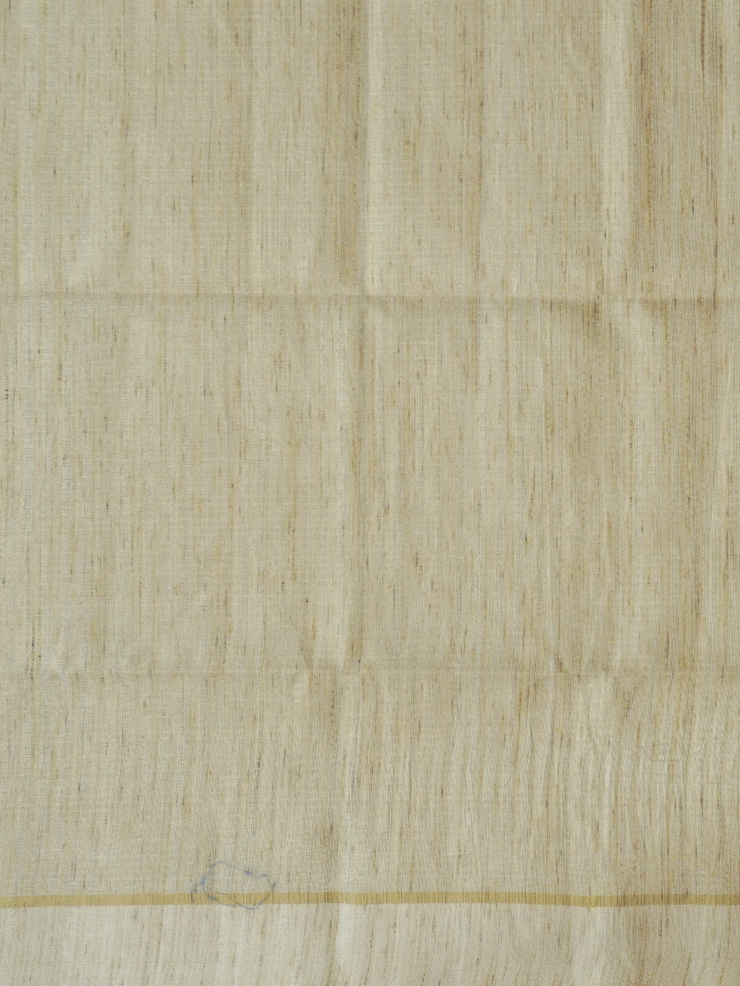 Chappa Tussar Silk Saree | TTDS3101