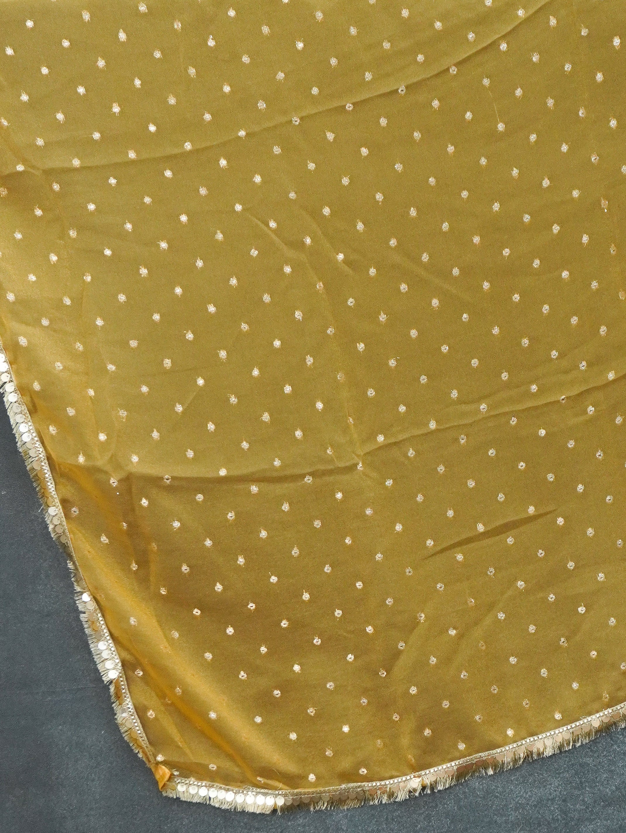 Tissue Silk Saree | TTDS3358